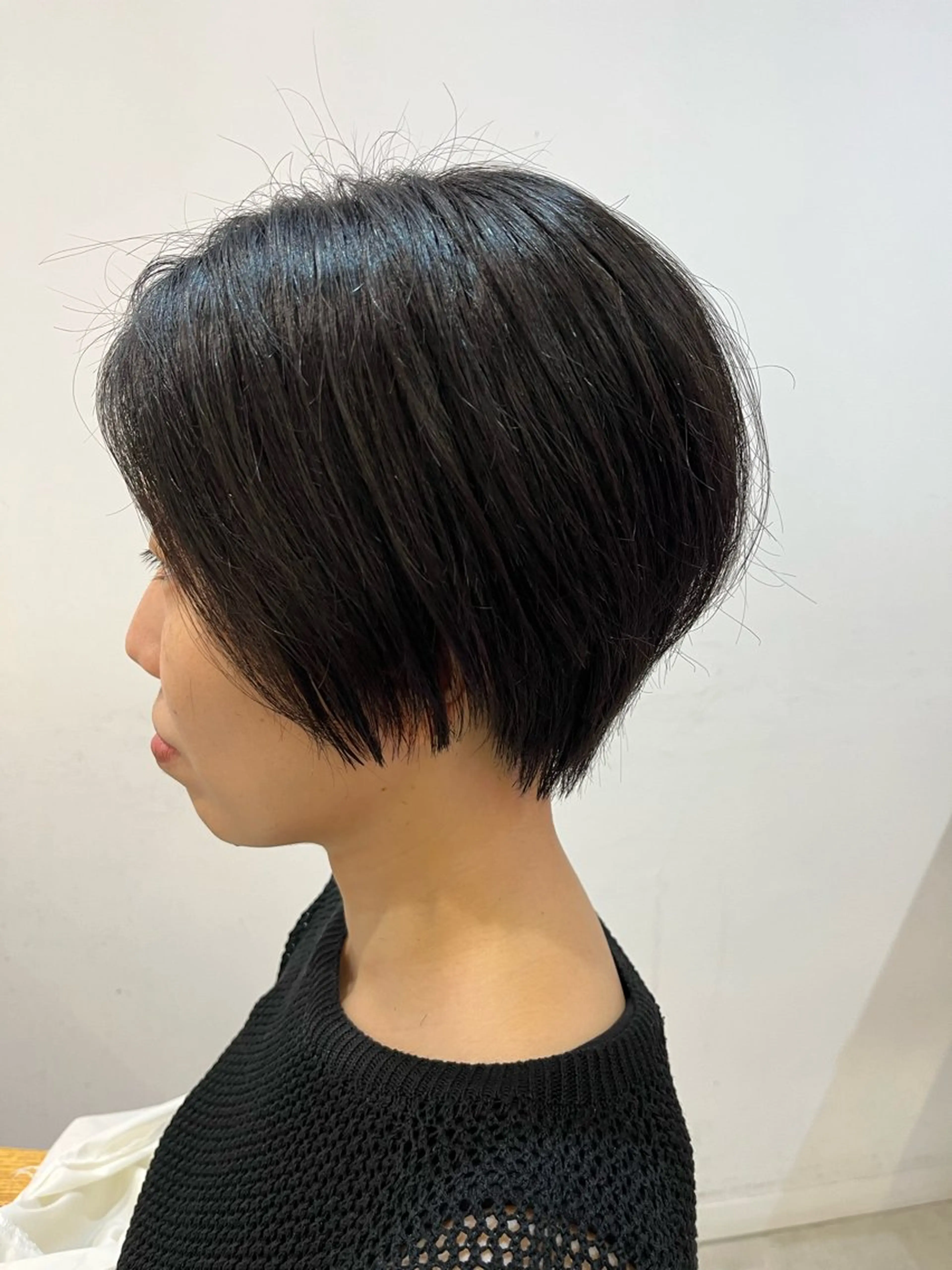 ショート ショートヘア ブリーチなしカラー レイヤーカットのヘアスタイル
