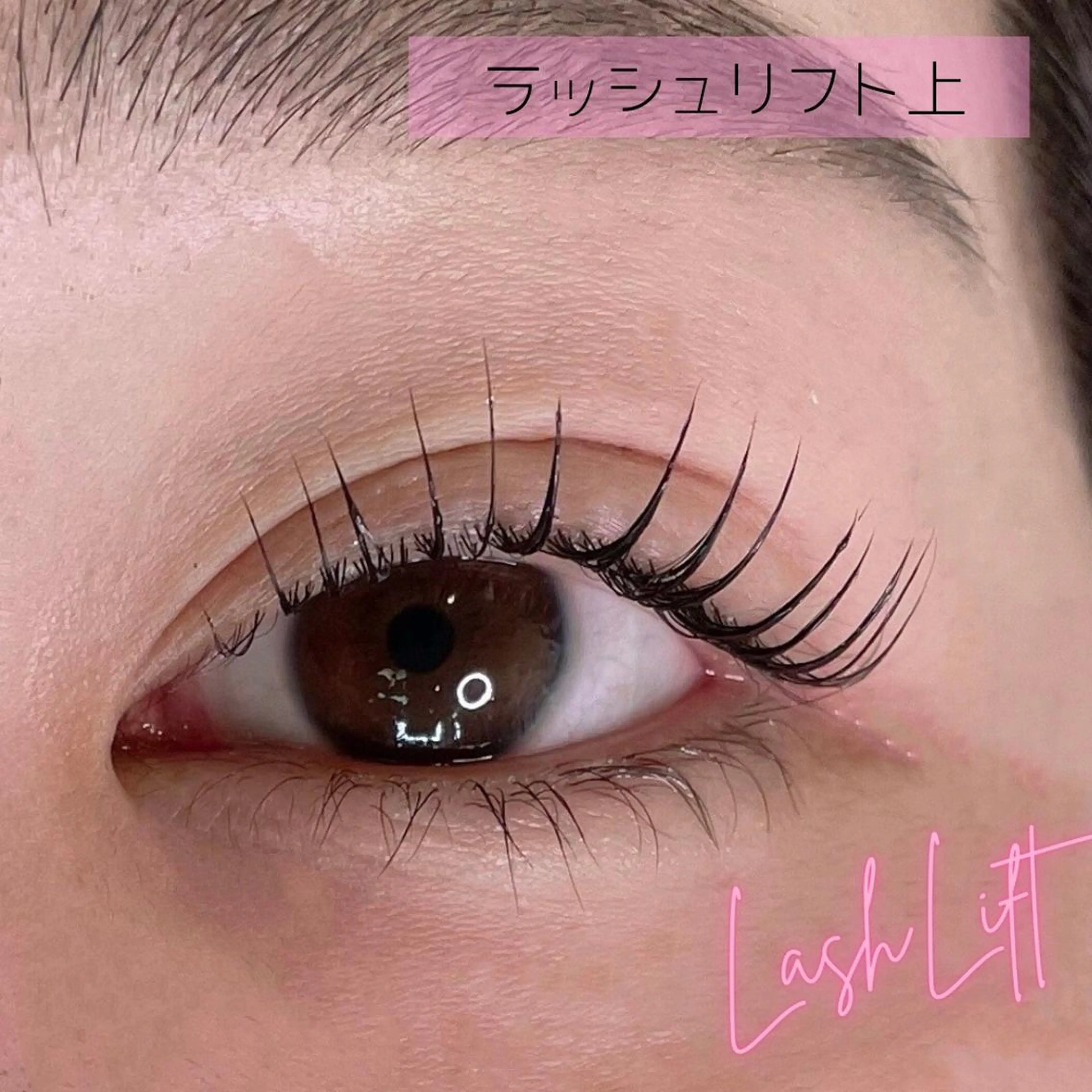 マツエク・マツパ アイブロウ ワックス脱毛 サン美容室所属・サン美容室 ♡の眉毛・アイブロウイメージ