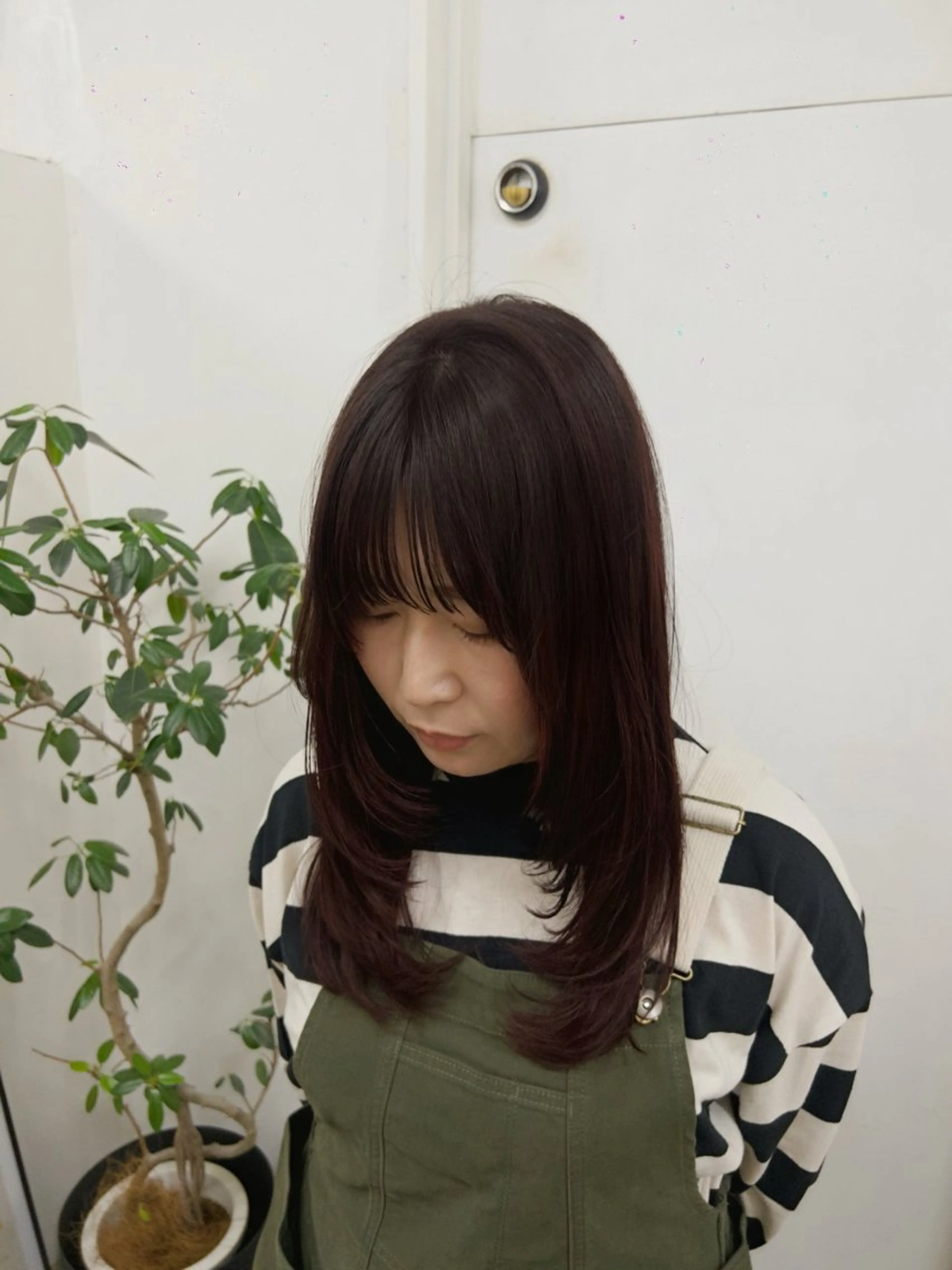 カット＋カラー 初回限定50%off🥣 ͗の写真