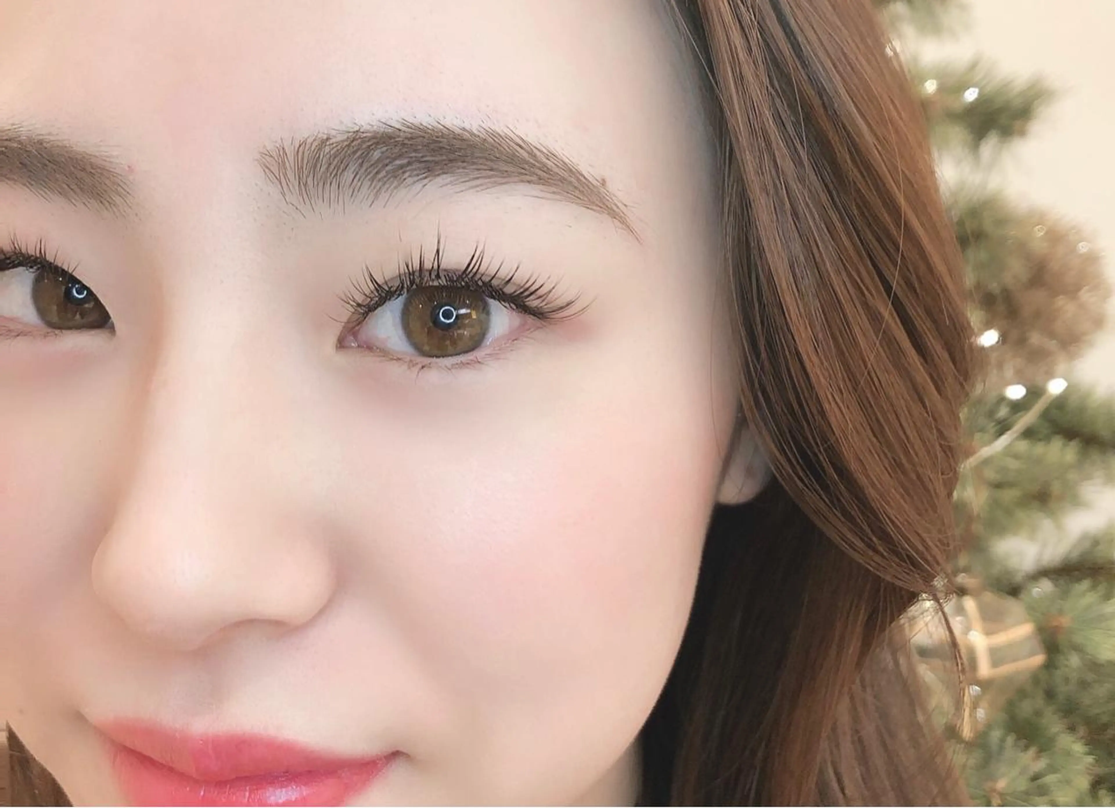 フラットラッシュ120本の写真