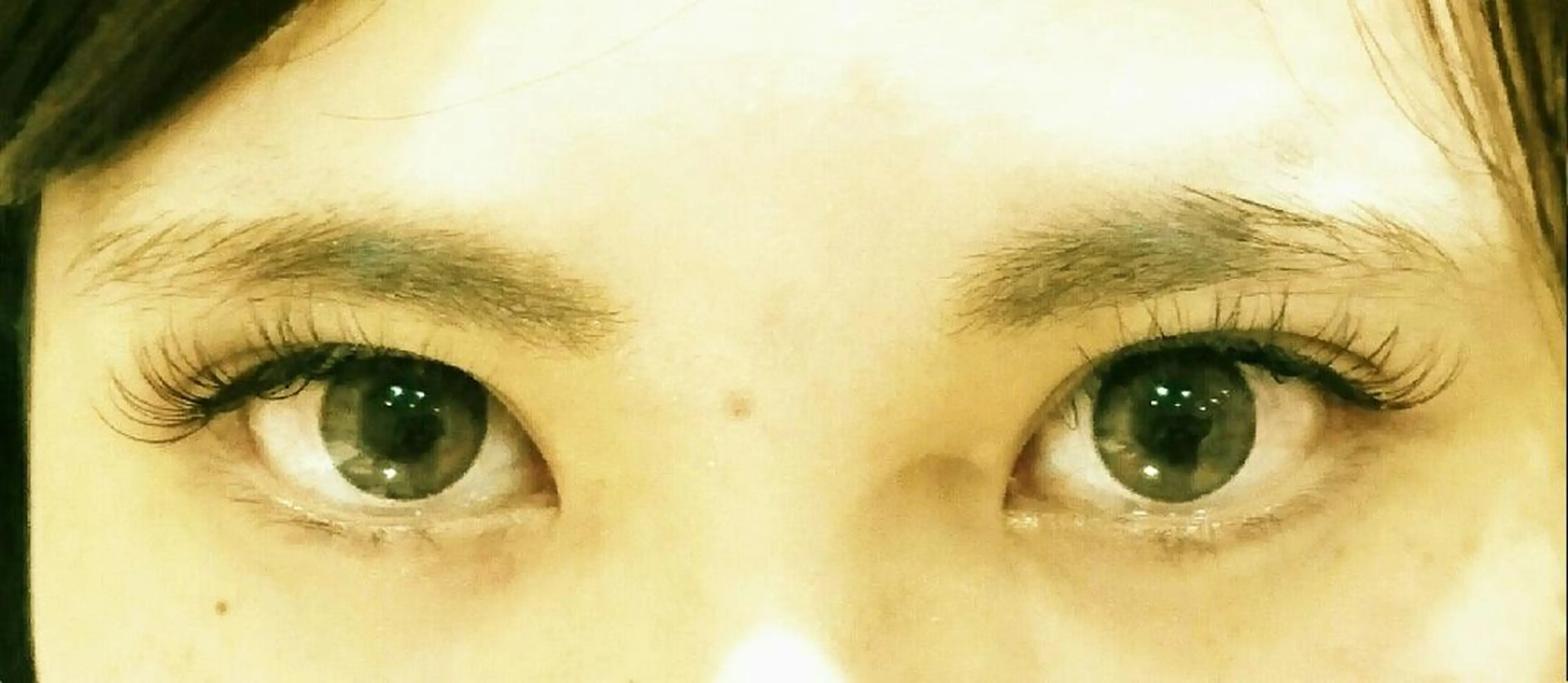 マツエク・マツパ Dカール 目尻長め blossom🌺 井比のマツエク・マツパデザイン