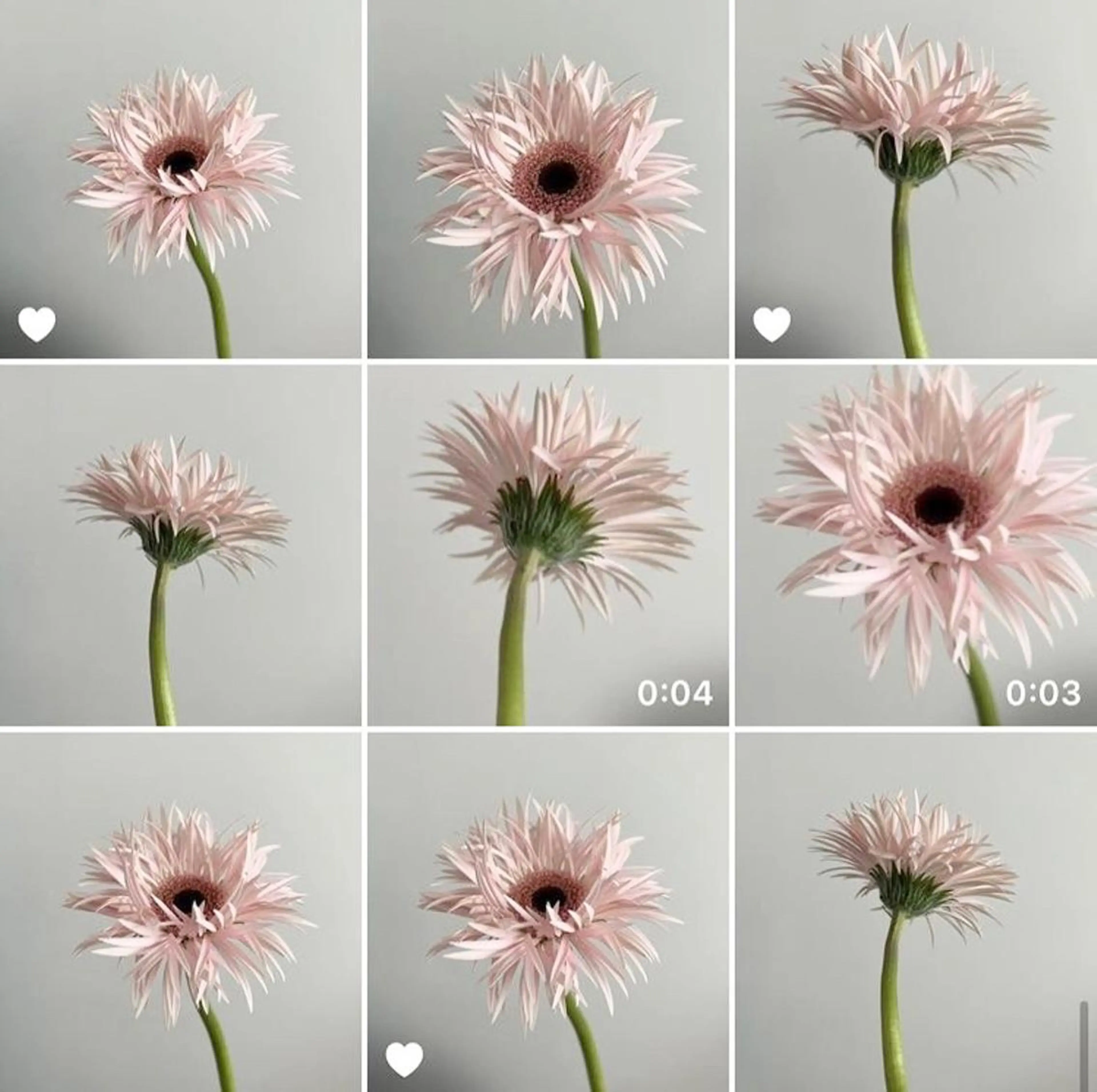 メンズ キッズ ネイル マツエク・マツパ アイブロウ 💞MONA💞痛み 最小限のまびきの眉毛・アイブロウイメージ