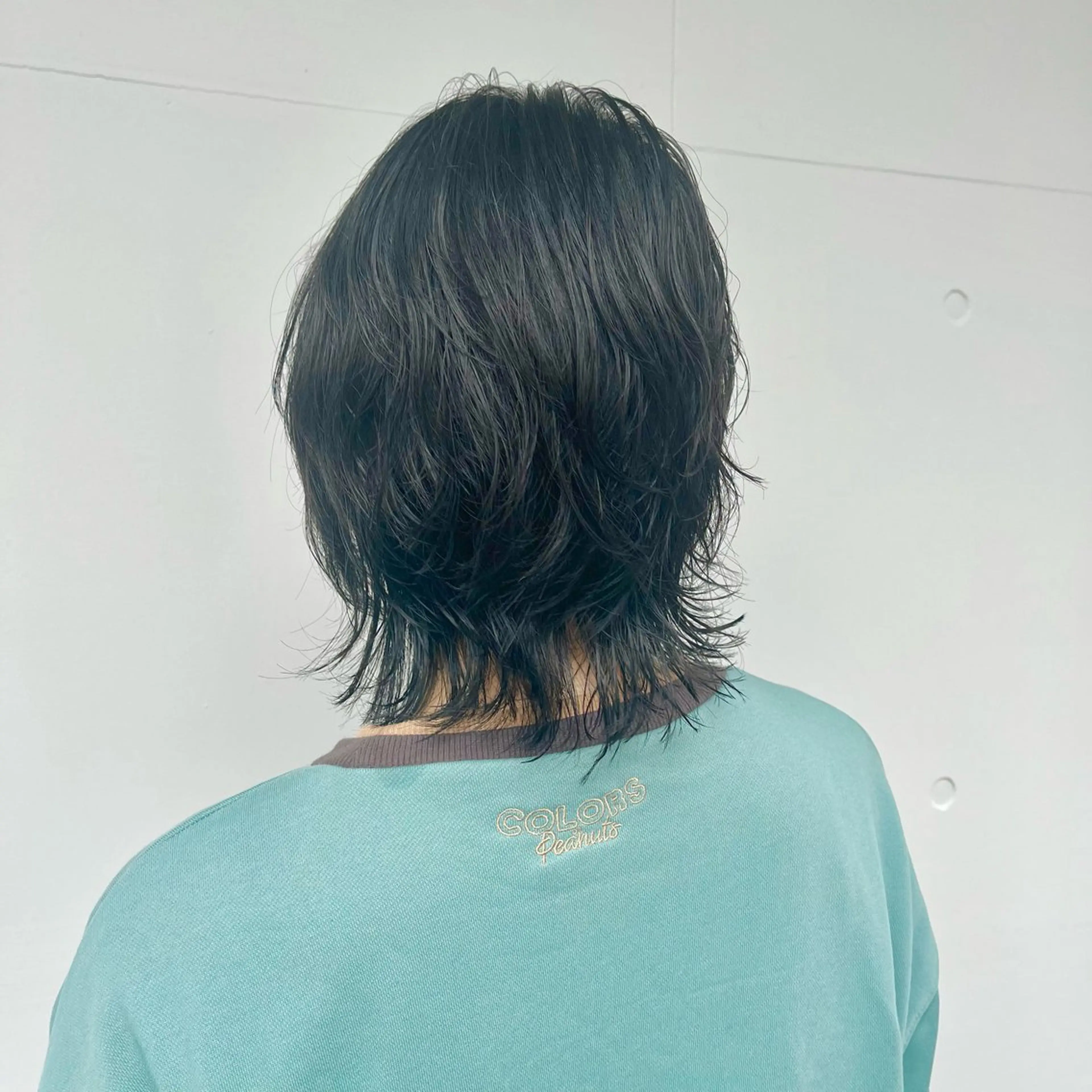 ショート カラー 黒髪 ブルーカラー ブルーブラック 顔まわりレイヤー レイヤーカット カット 藤澤 夏実/インナーカラーのヘアスタイル