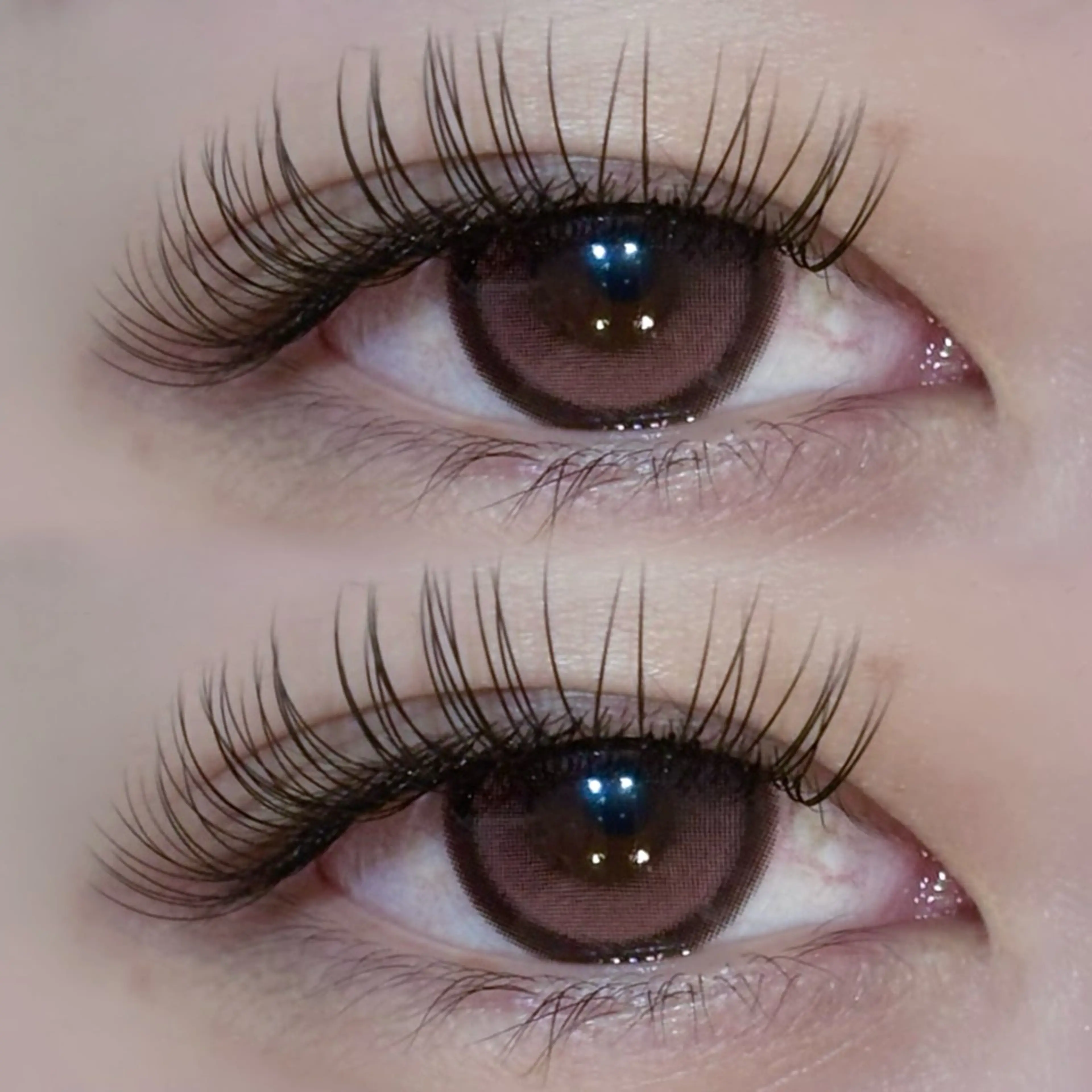 マツエク・マツパ EYELA🤍 蓜島のマツエク・マツパデザイン