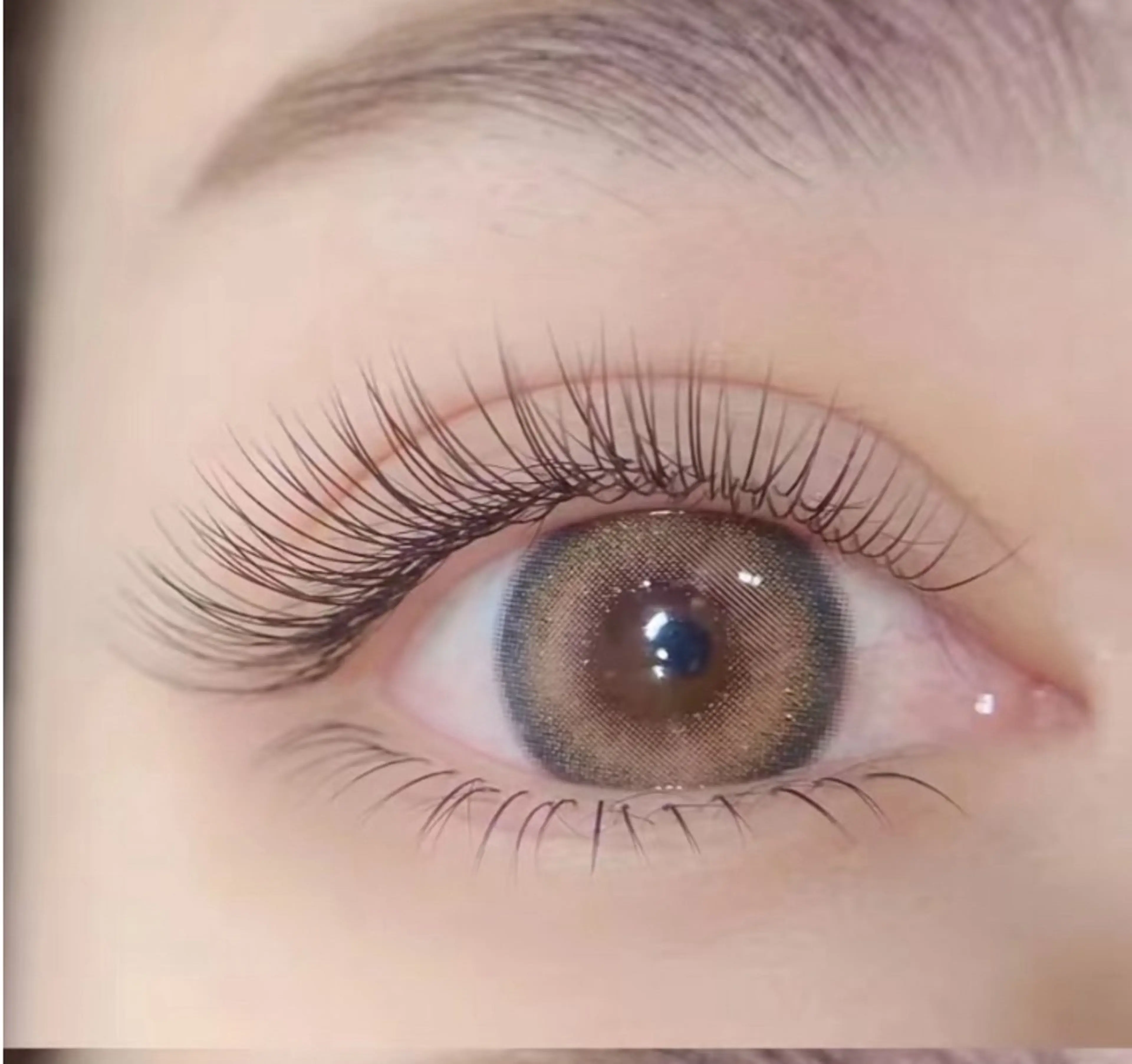 フラットラッシュ100本の写真
