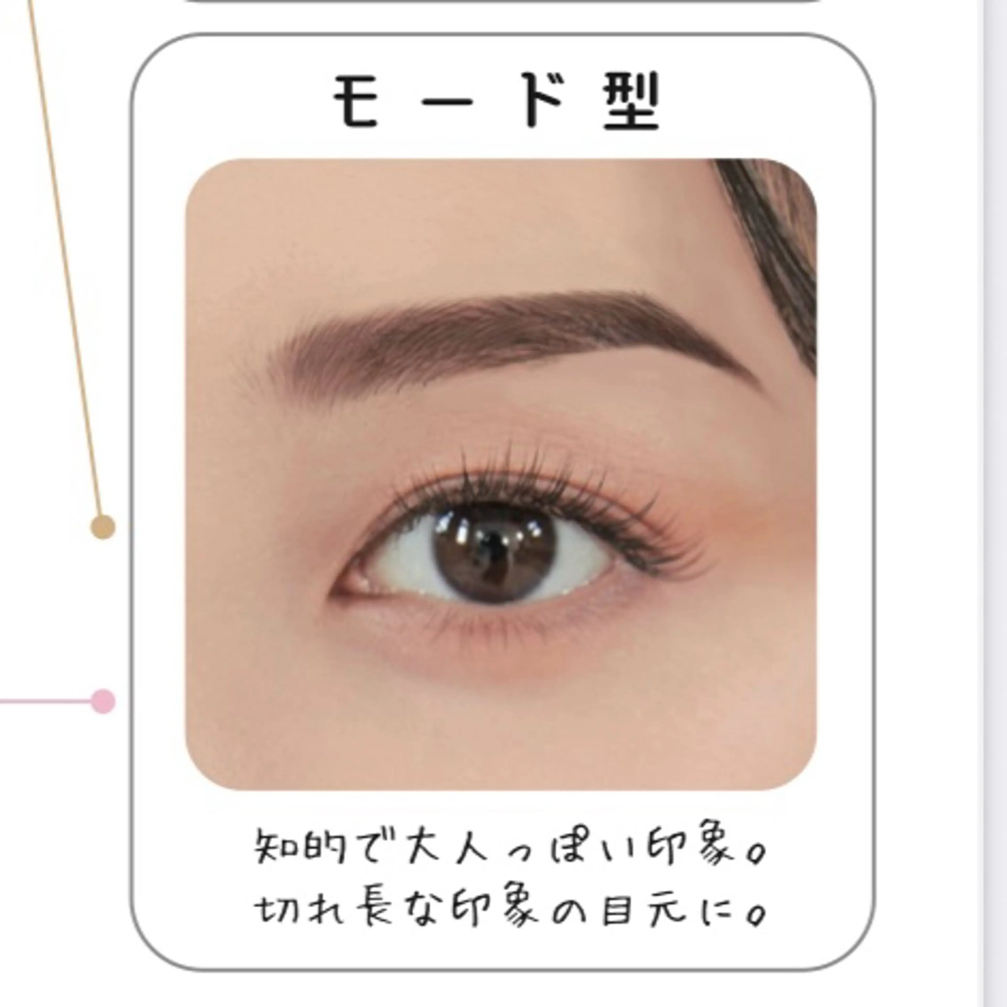 【無料アイブロウモデル募集】美眉スタイリング(WAX脱毛＋カット)／約120分⚠️場所が恵比寿となります⚠️の写真