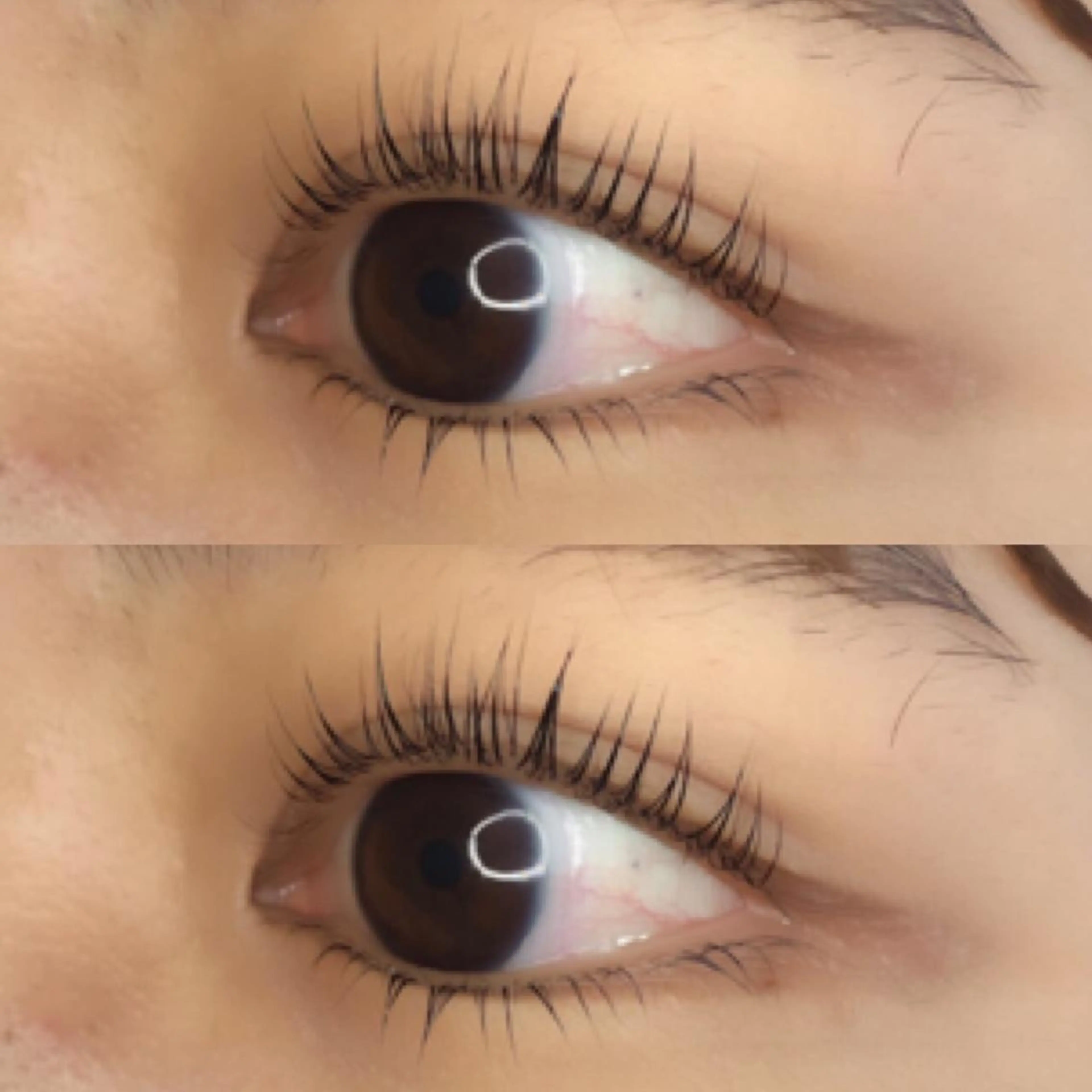 マツエク・マツパ マツパ 《eyelash ｉｉｔｅ》森のマツエク・マツパデザイン