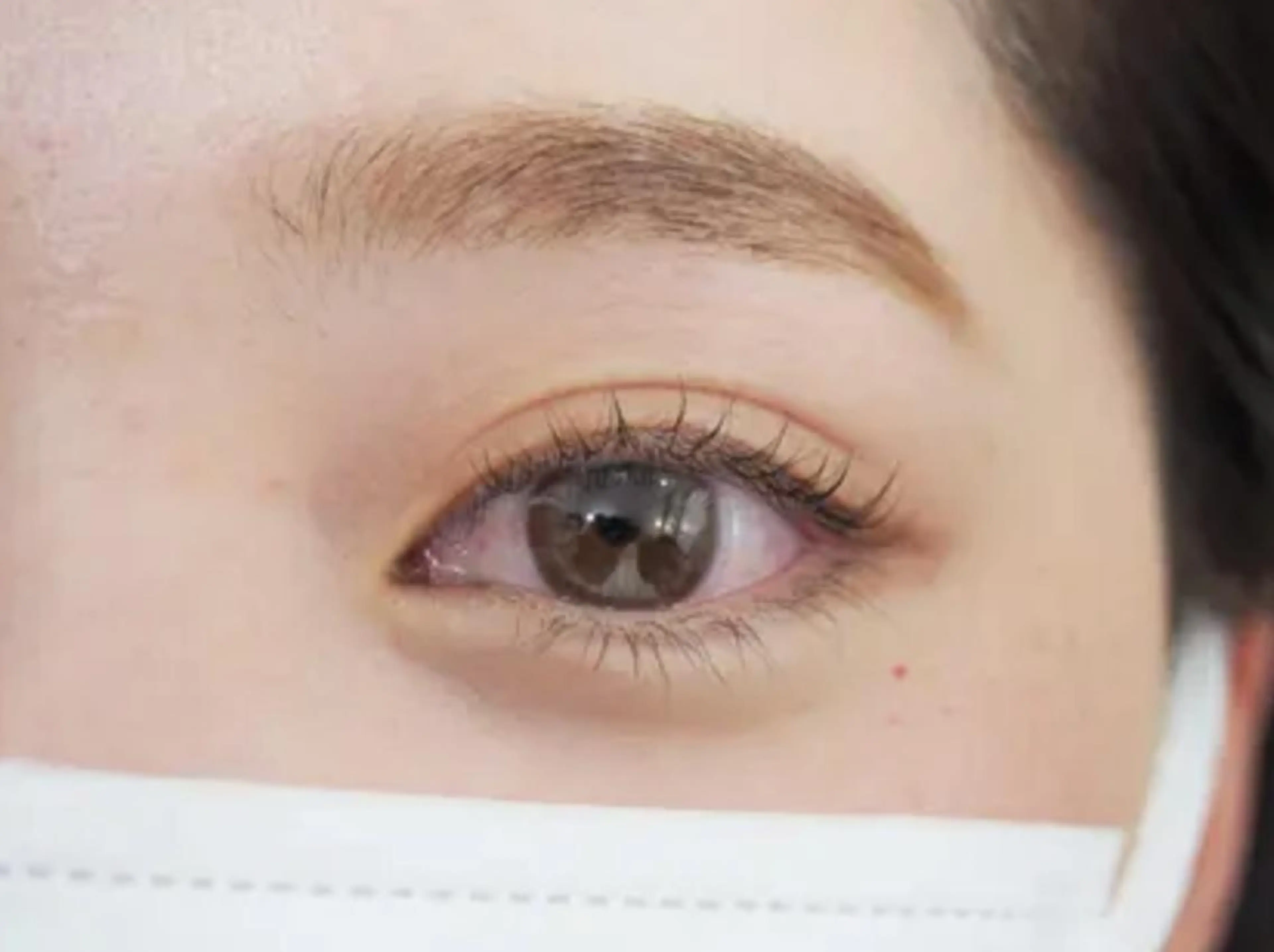 【無料モデル募集】まつげパーマ￥0 ※オフ不可※の写真