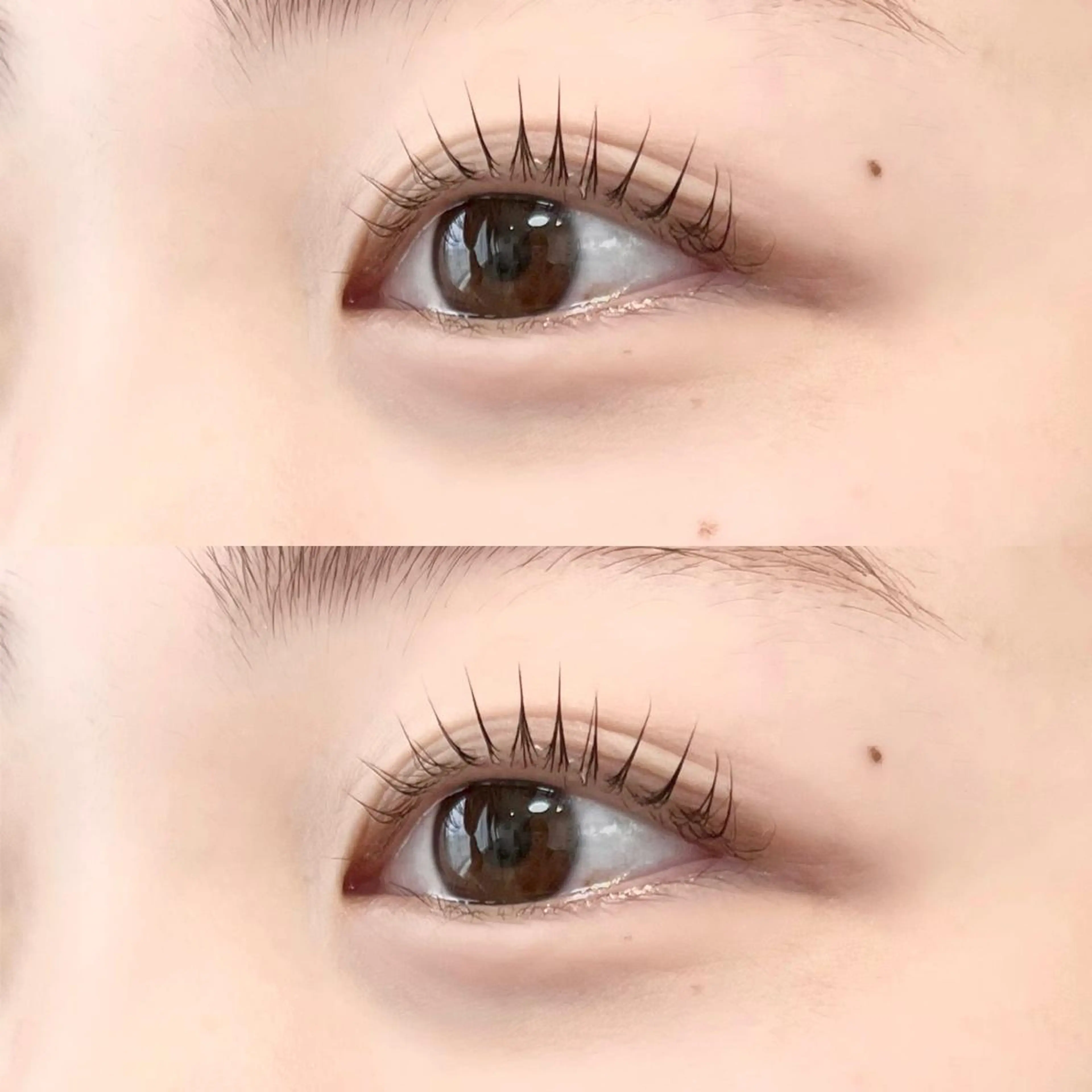 マツエク・マツパ ケラチンラッシュリフト マツパ 🦋平林 未莉🦋✨のマツエク・マツパデザイン