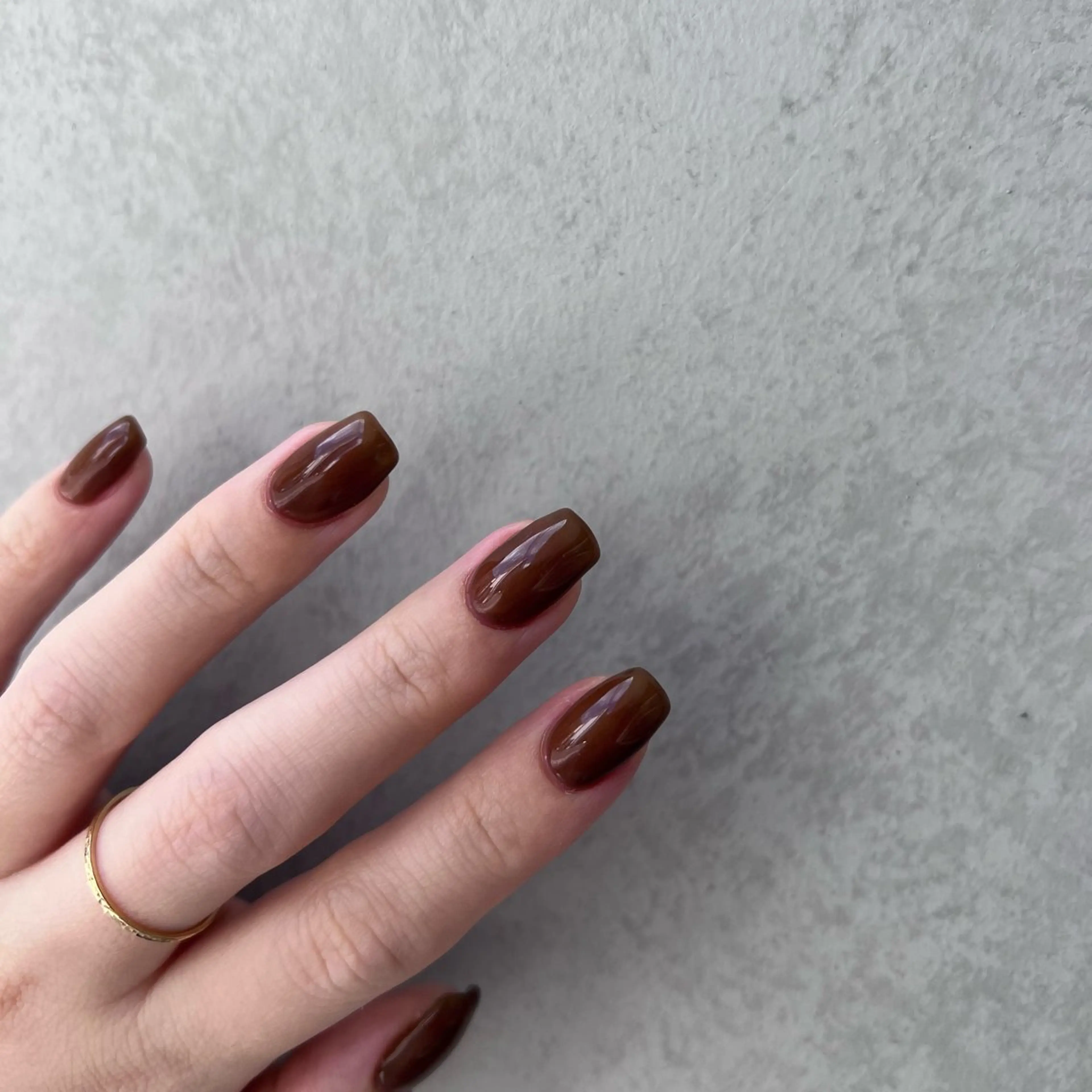 ネイル ブラウン マグネットネイル ニュアンスネイル nail‪◯ petitnanoのネイルデザイン