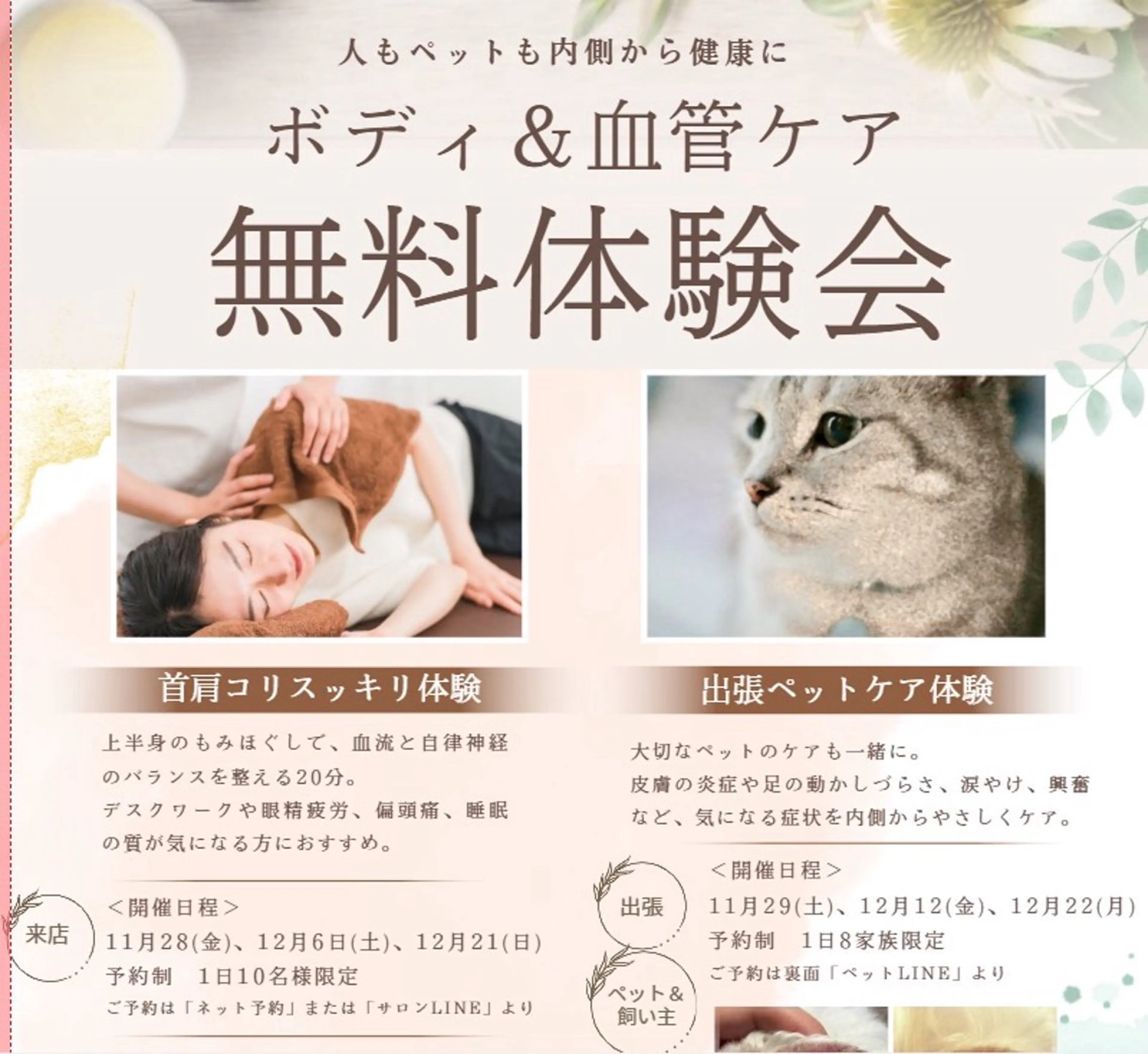 【日時限定】ボディ＆血管ケア 20分無料体験会の写真