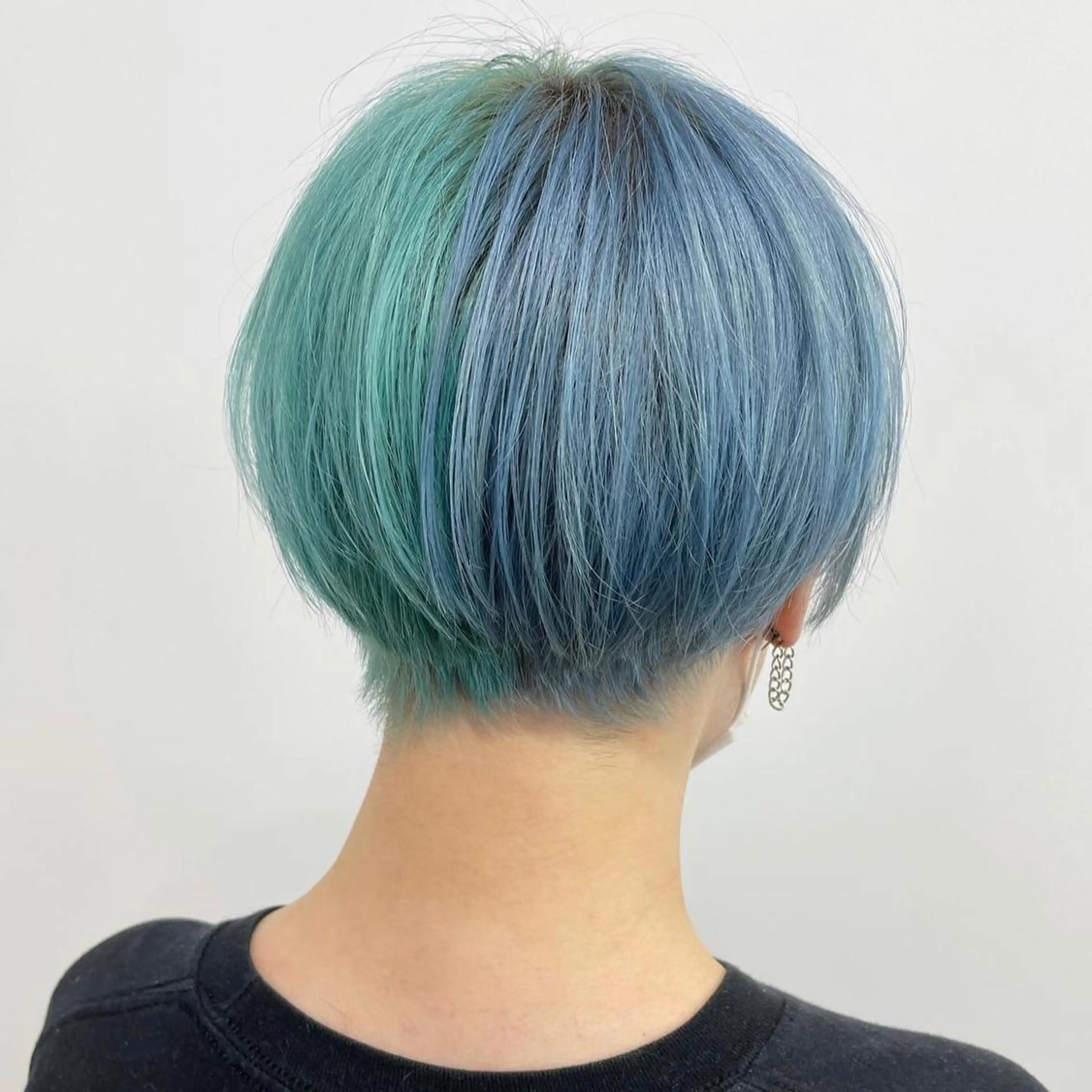 ショート カラー ハイトーン/ウルフ /小澤凌祐🦕のヘアスタイル