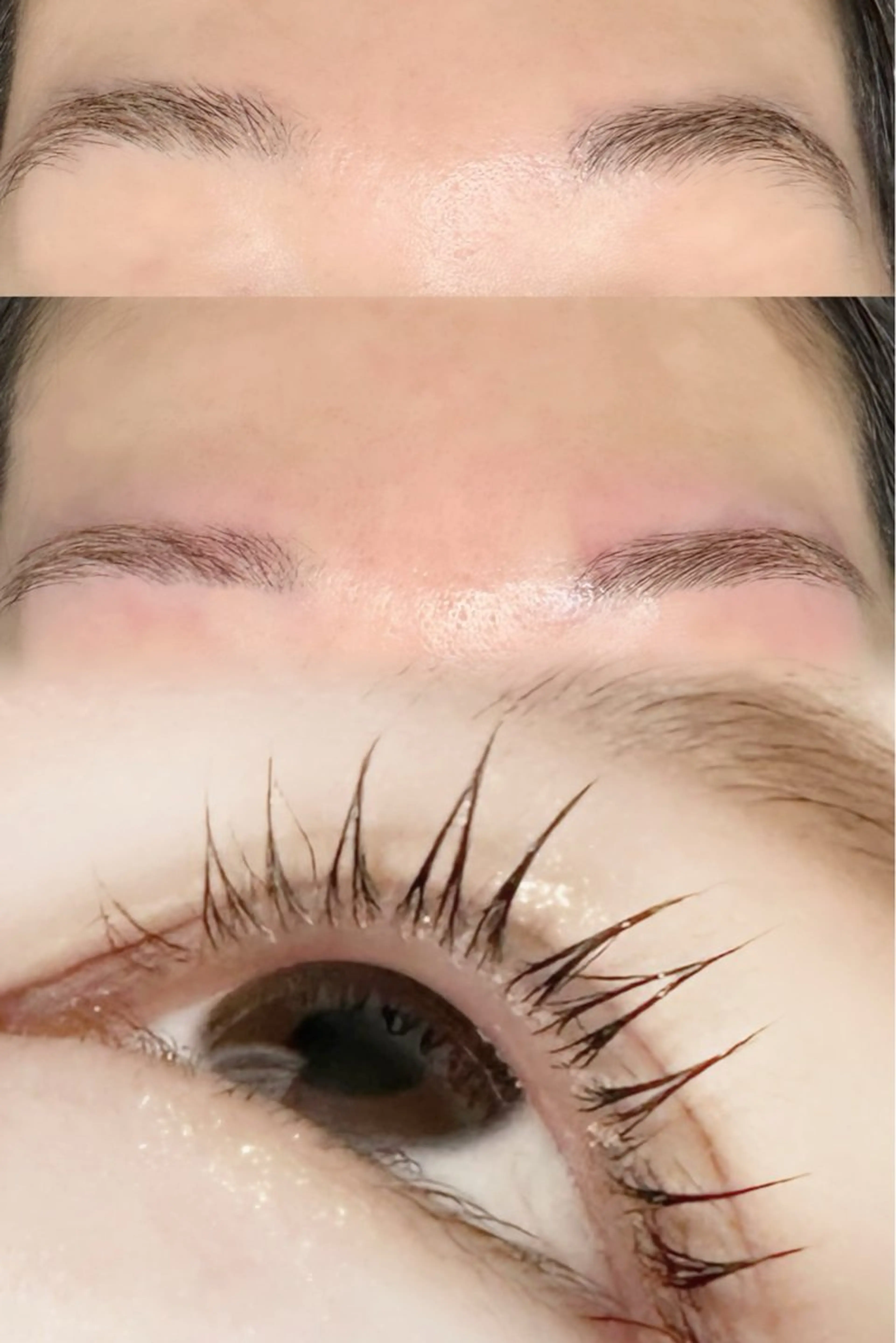 【𝑺𝒆𝒕 𝐦𝐞𝐧𝐮】アイブロウWAX＋まつ毛パーマの写真
