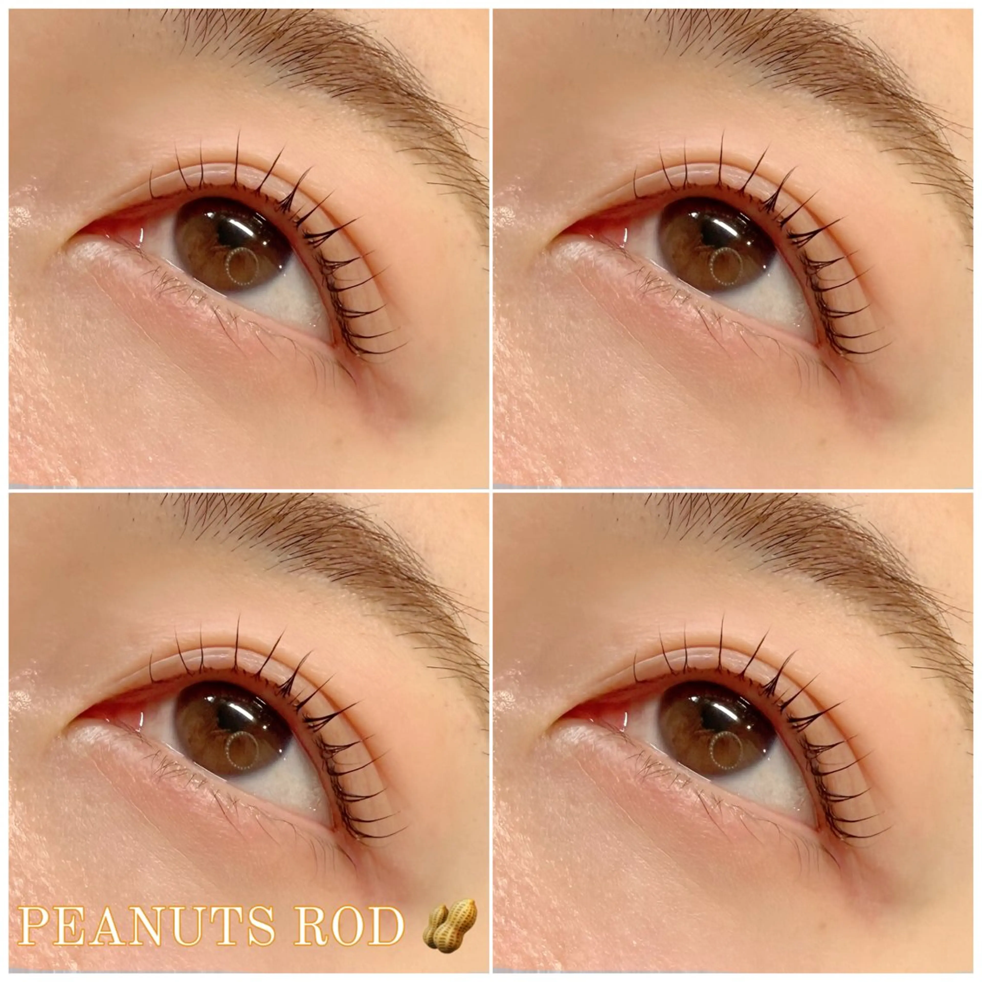 まつ毛パーマorパリジェンヌ🐈の写真