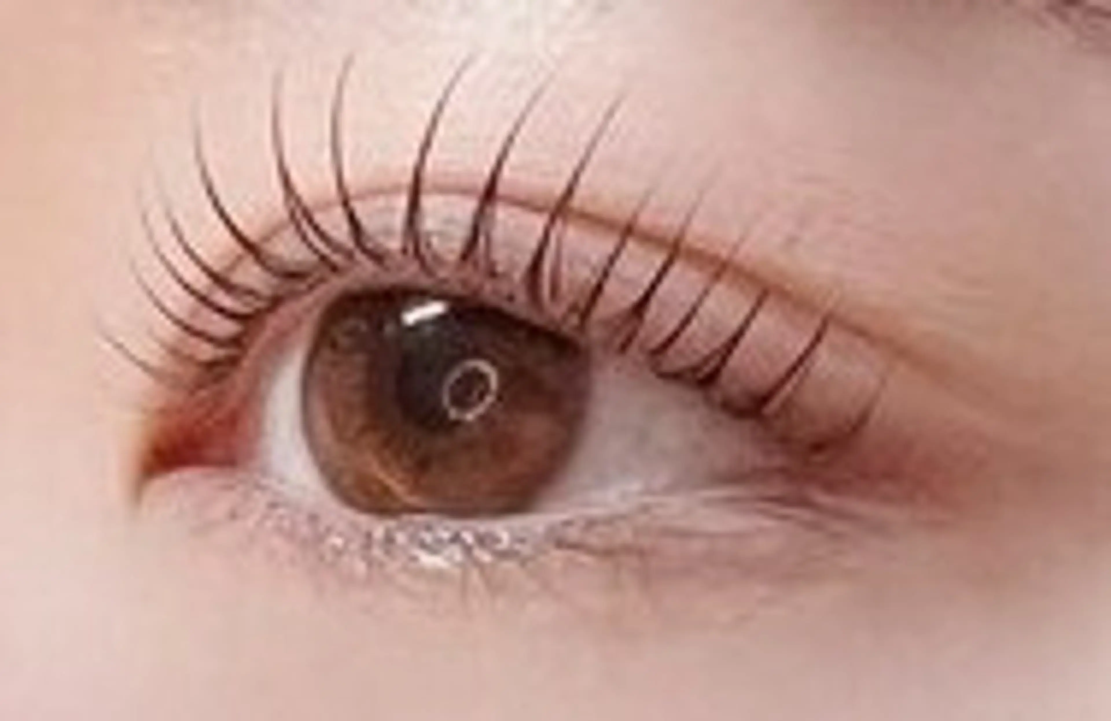 マツエク・マツパ total beauty Rassurer所属・beauty Rassurerのマツエク・マツパデザイン