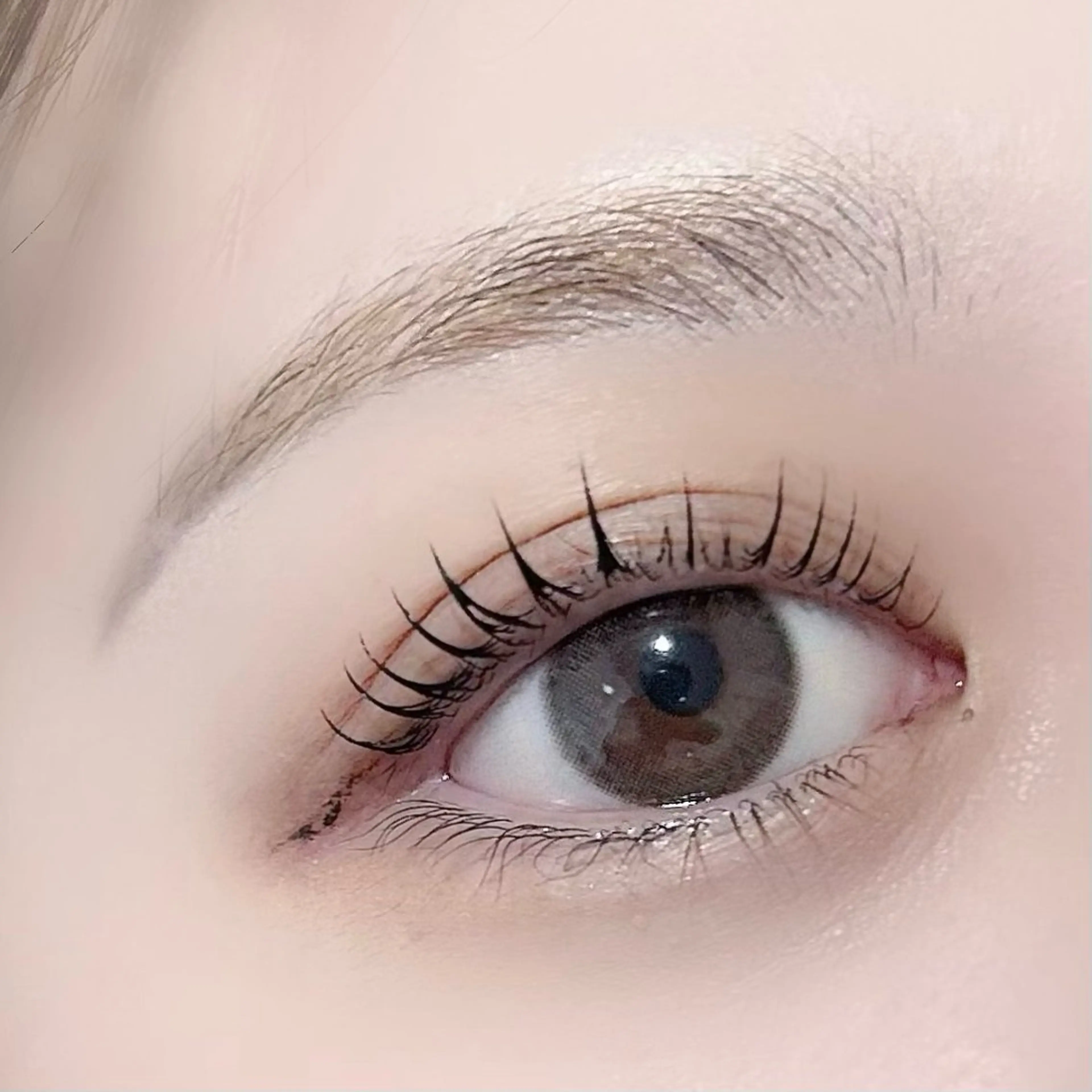 ⭐️eyerich式まつ毛パーマ⭐️【3STEPトリートメントアイシャンプー付】の写真