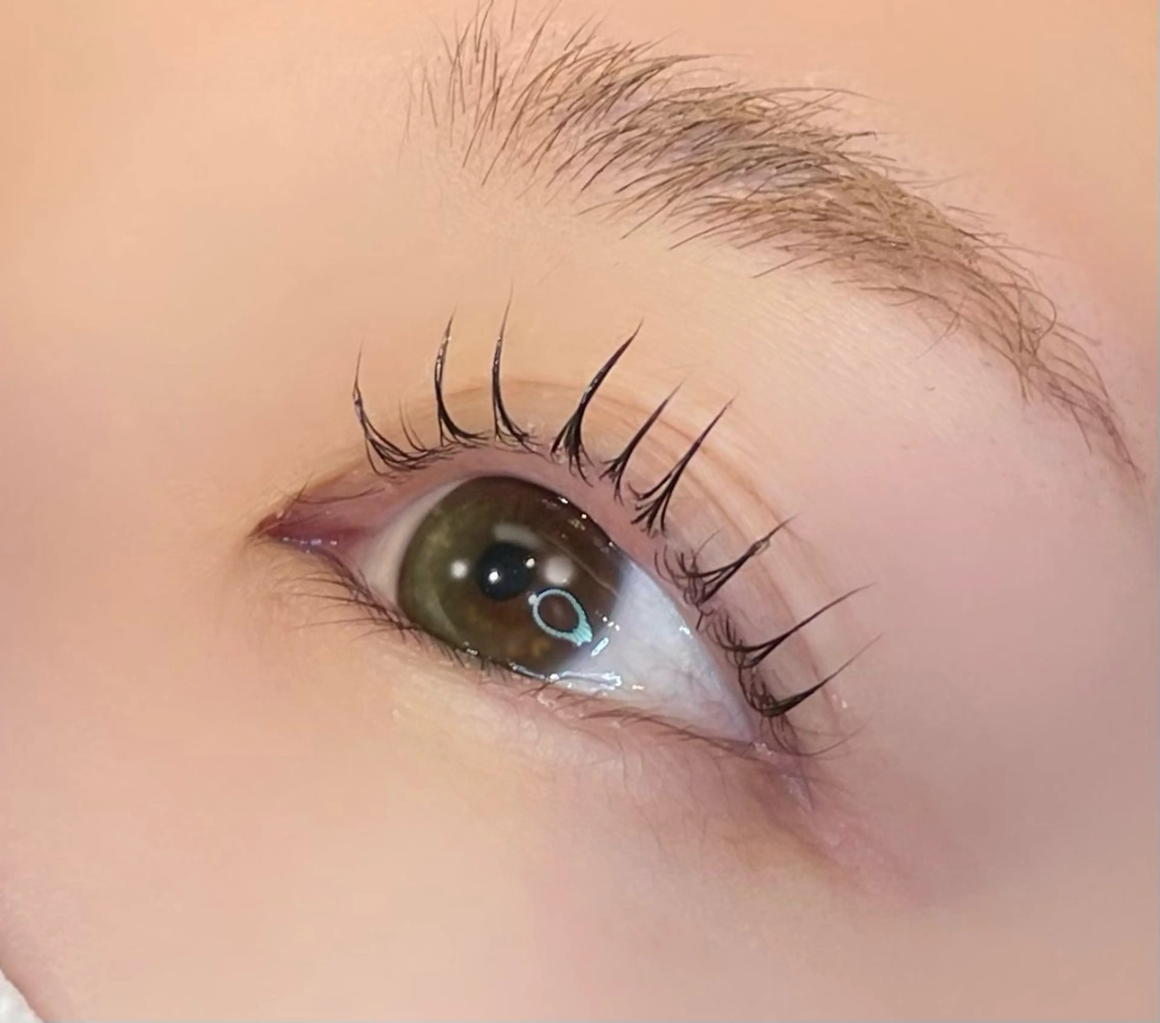 マツエク・マツパ マツパ まつパ/マツエク🤎 艶カラー/ゆり♡⃛のヘアスタイル