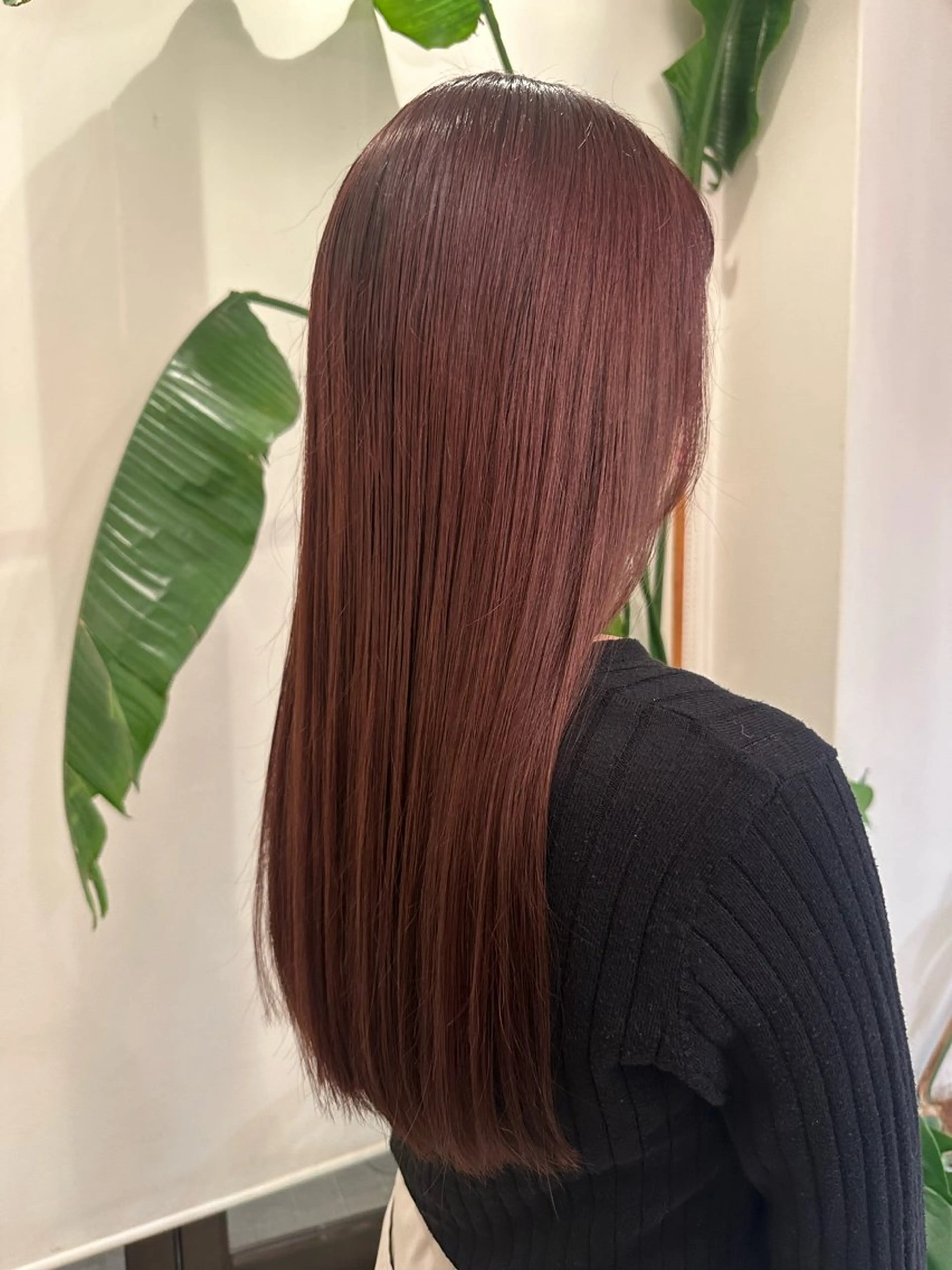 ファッションカラーモデルの写真