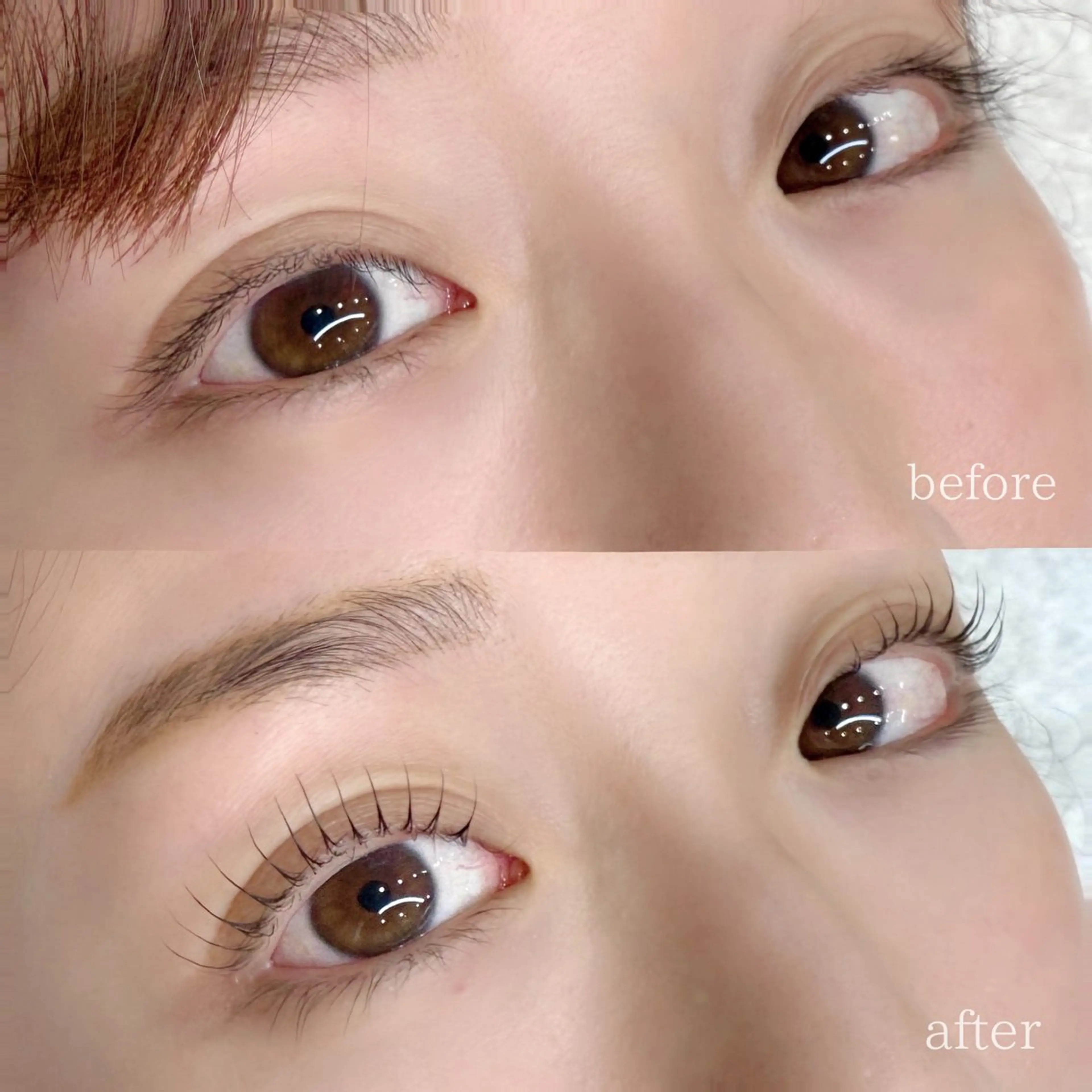 💛【期間限定】まつげパーマの写真