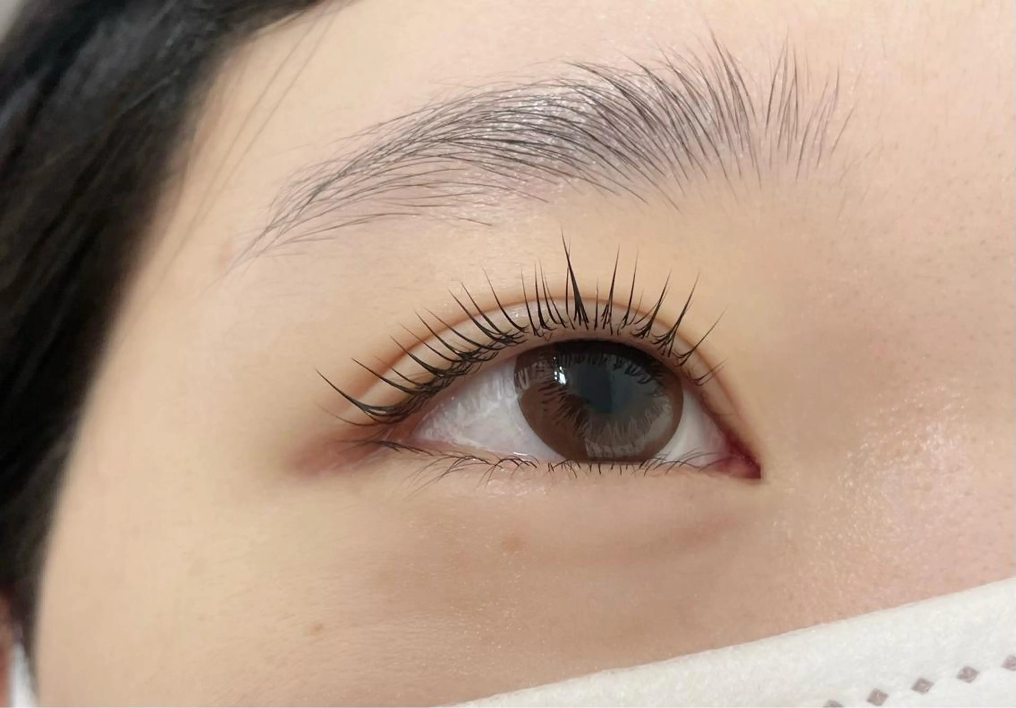 マツエク・マツパ eyelash  salon fまつエク・まつげパーマ【フランク】所属・eyelash f　香里園のマツエク・マツパデザイン