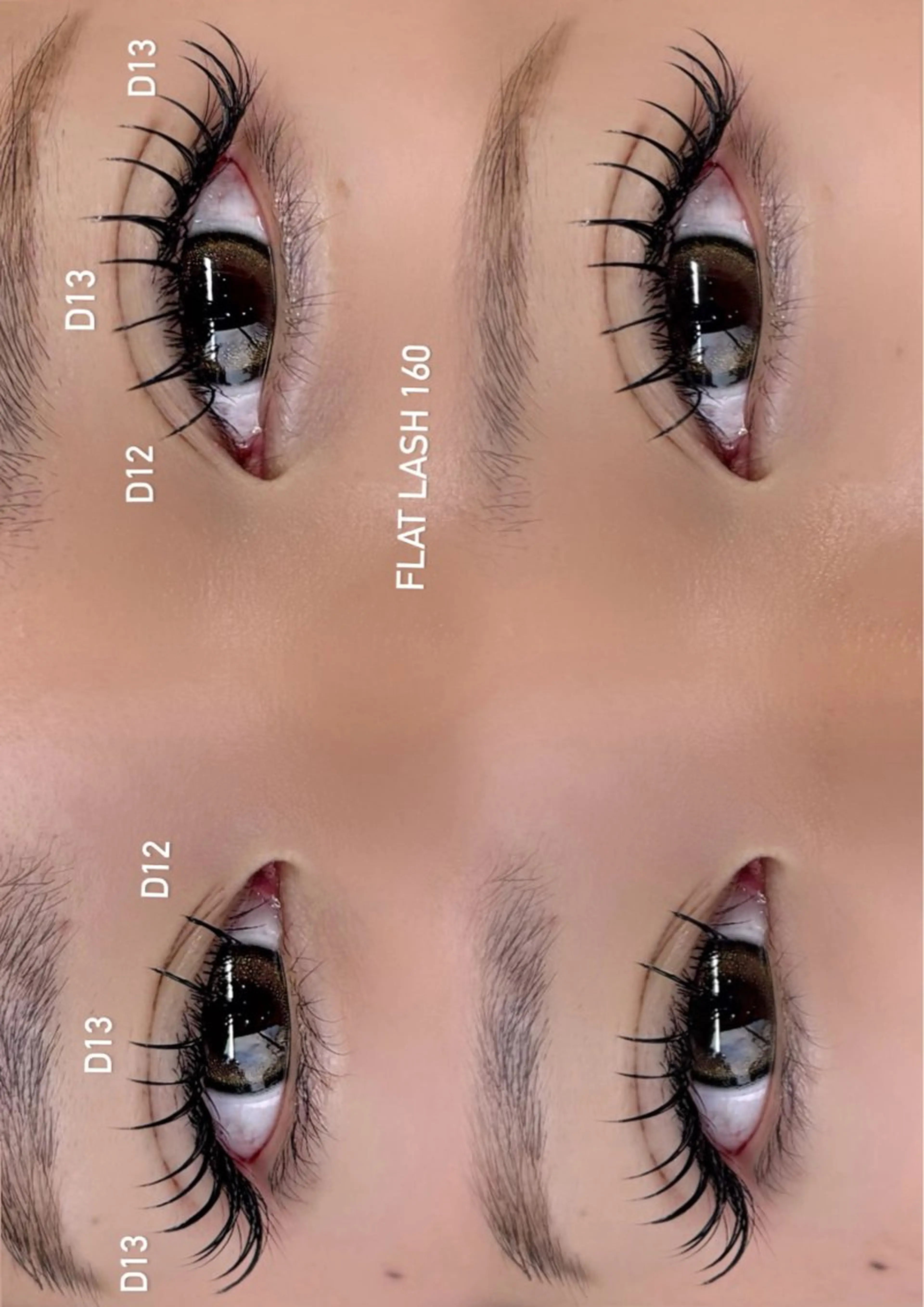 フラットラッシュ160本（オフ込み）の写真