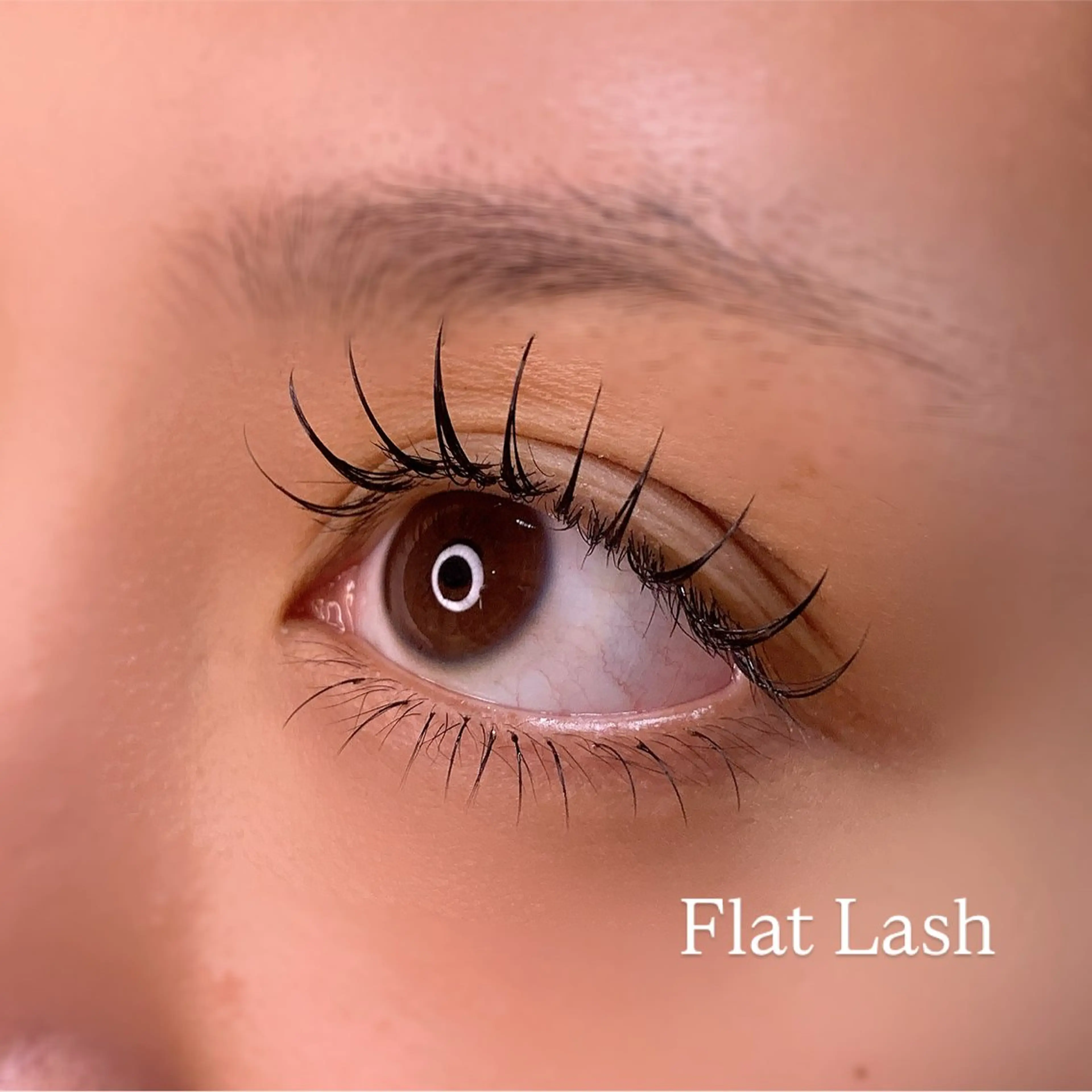 マツエク・マツパ マツエク Ayumi.pro 🍆N《4階》のマツエク・マツパデザイン