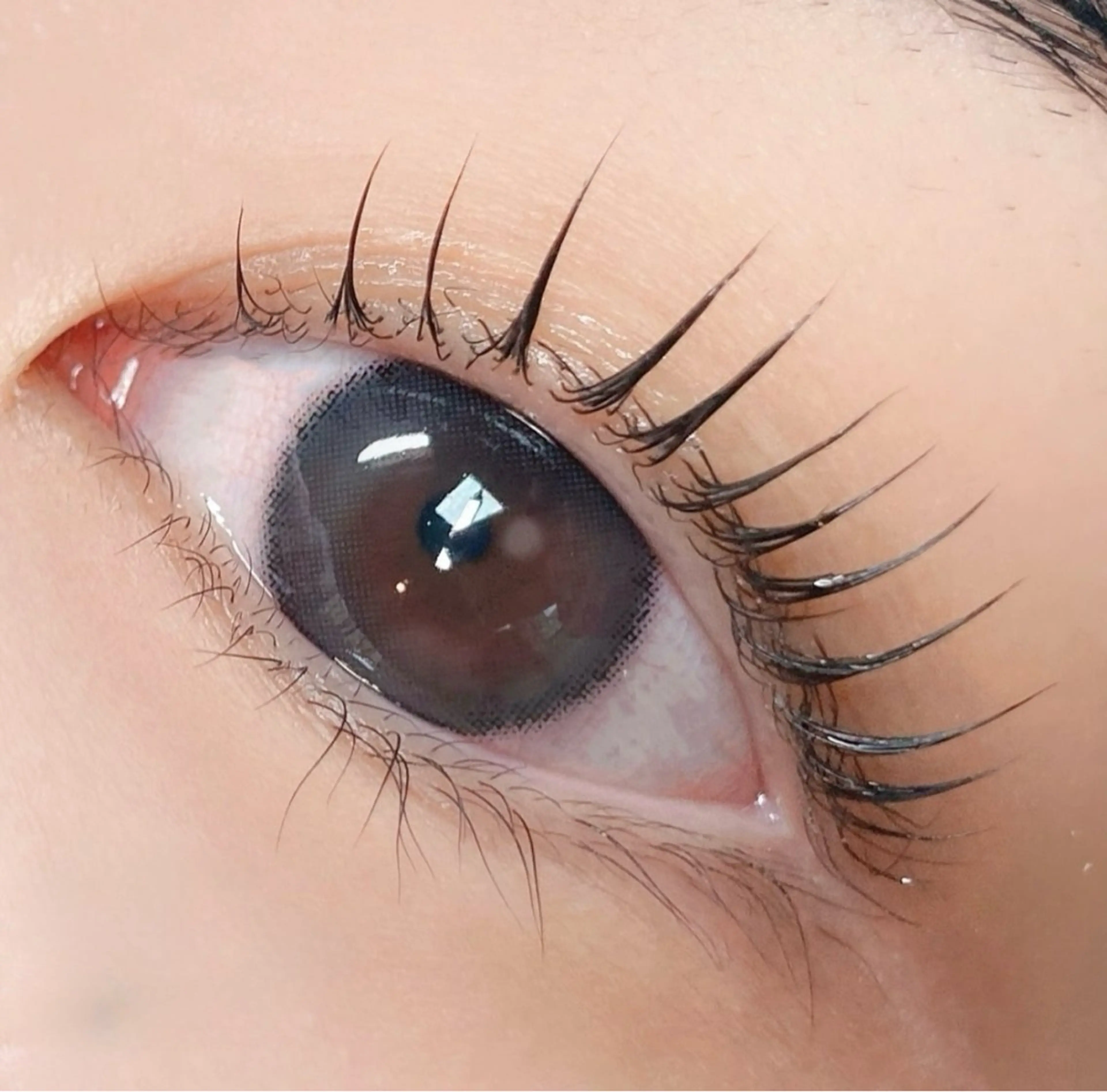 マツエク・マツパ ケラチンラッシュリフト 束感まつ毛 パリジェンヌラッシュリフト まつげパーマ マツパ 池袋💖 チルザルトサロンのマツエク・マツパデザイン