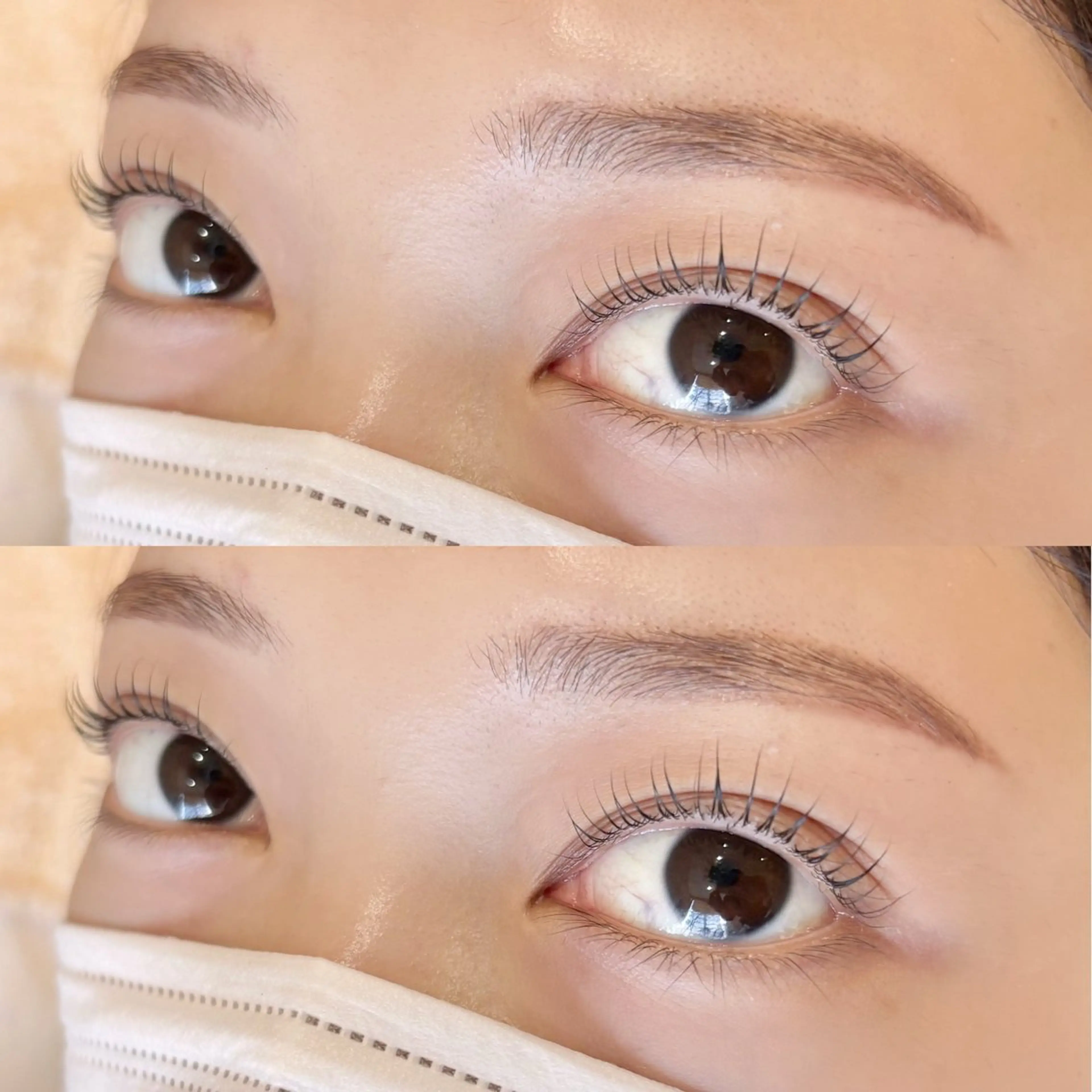 マツエク・マツパ Bunny eyes　藤野の眉毛・アイブロウイメージ