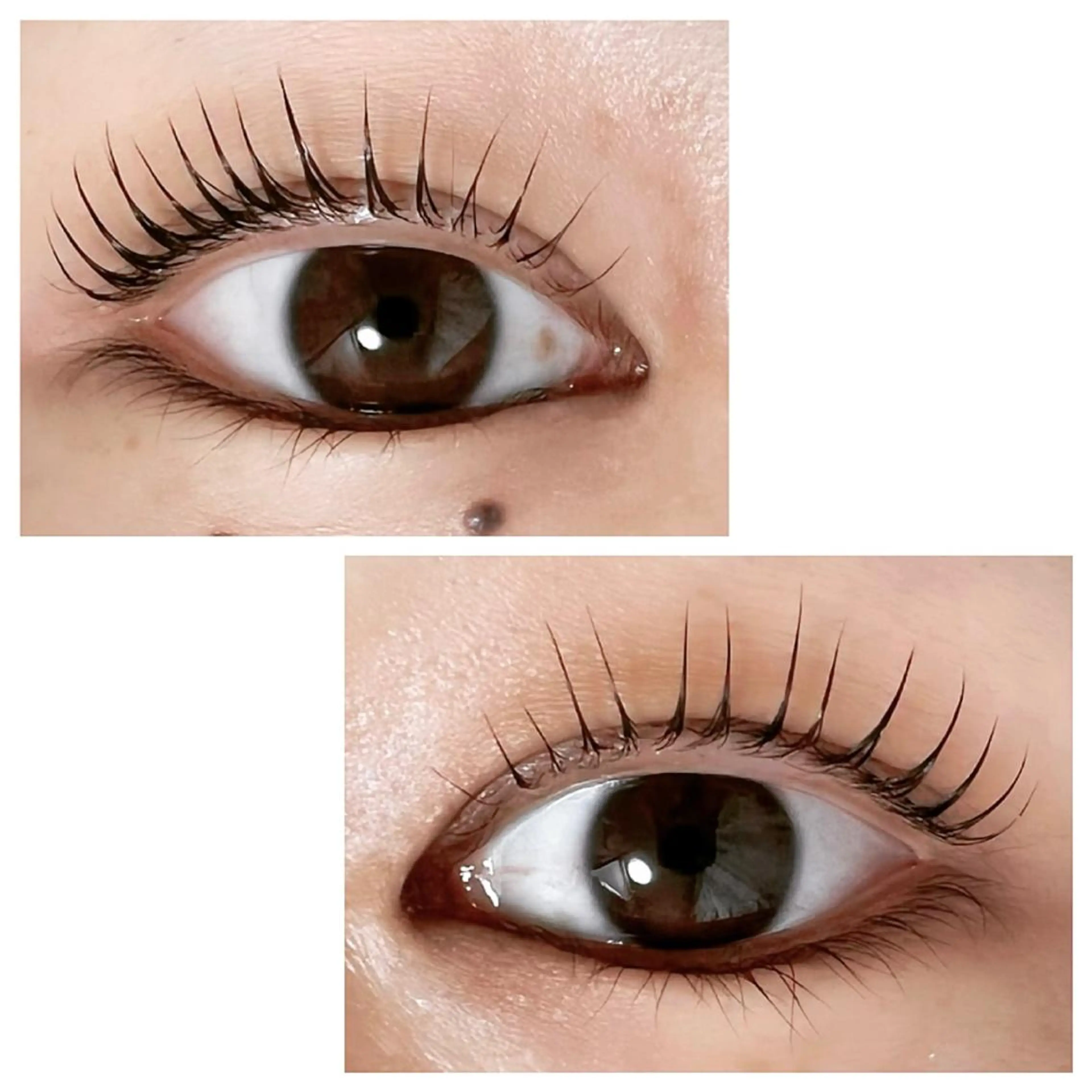 マツエク・マツパ Adorer(アドレ)所属・Adorer 🍀アドレ🍀のマツエク・マツパデザイン