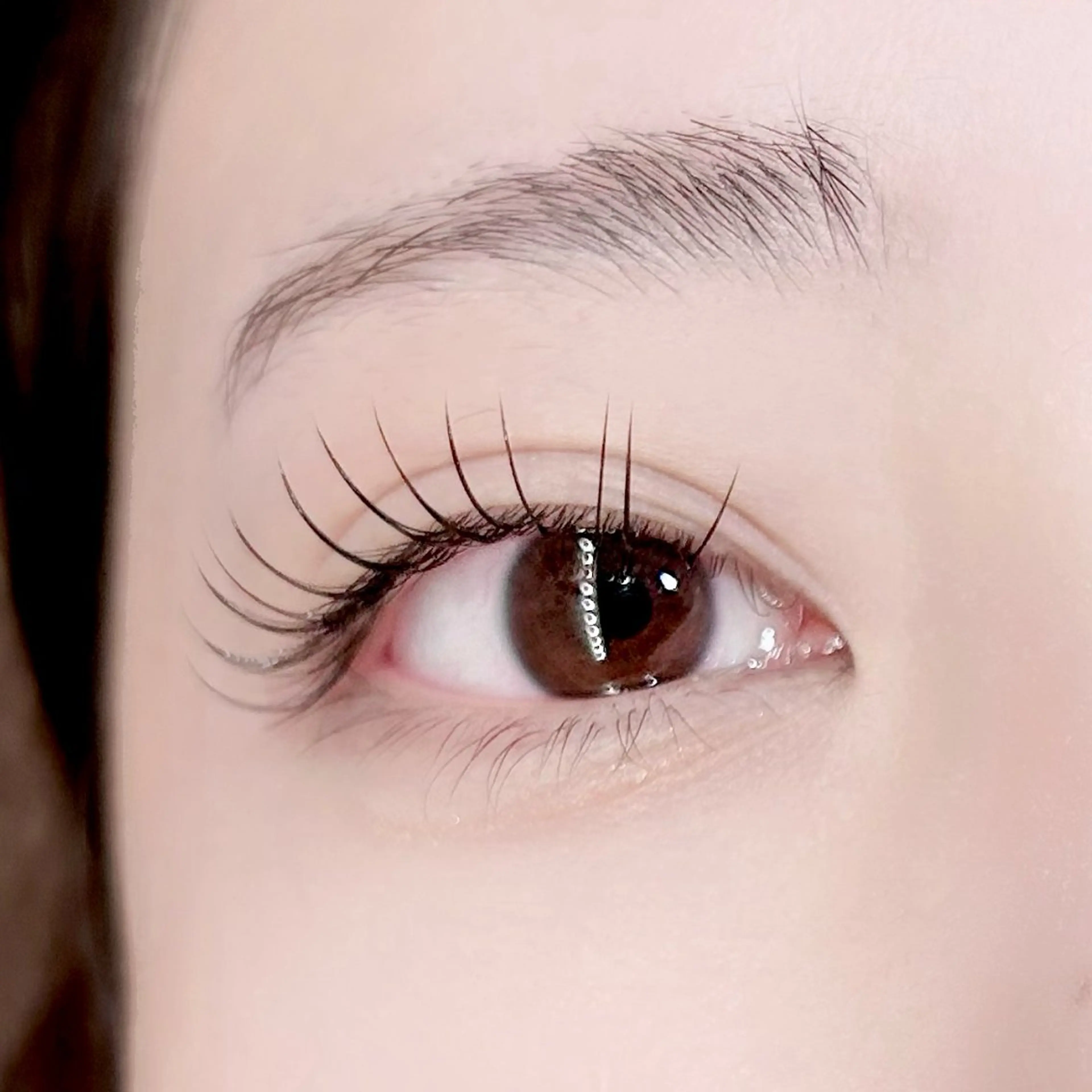 11/18.19.20.21限定フラットラッシュ100本(ブラウン＋500円)の写真