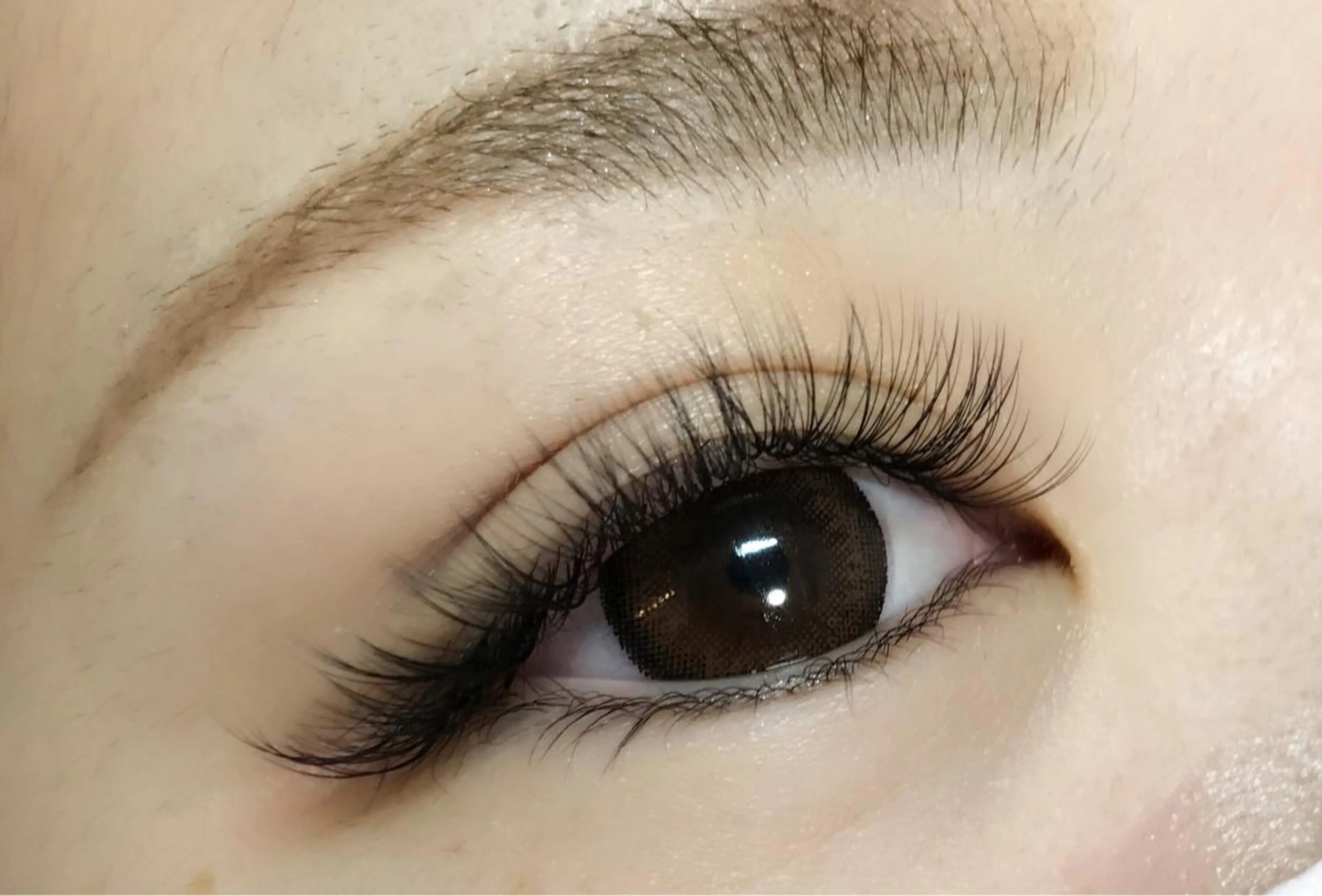 マツエク・マツパ plume eyelashの眉毛・アイブロウイメージ
