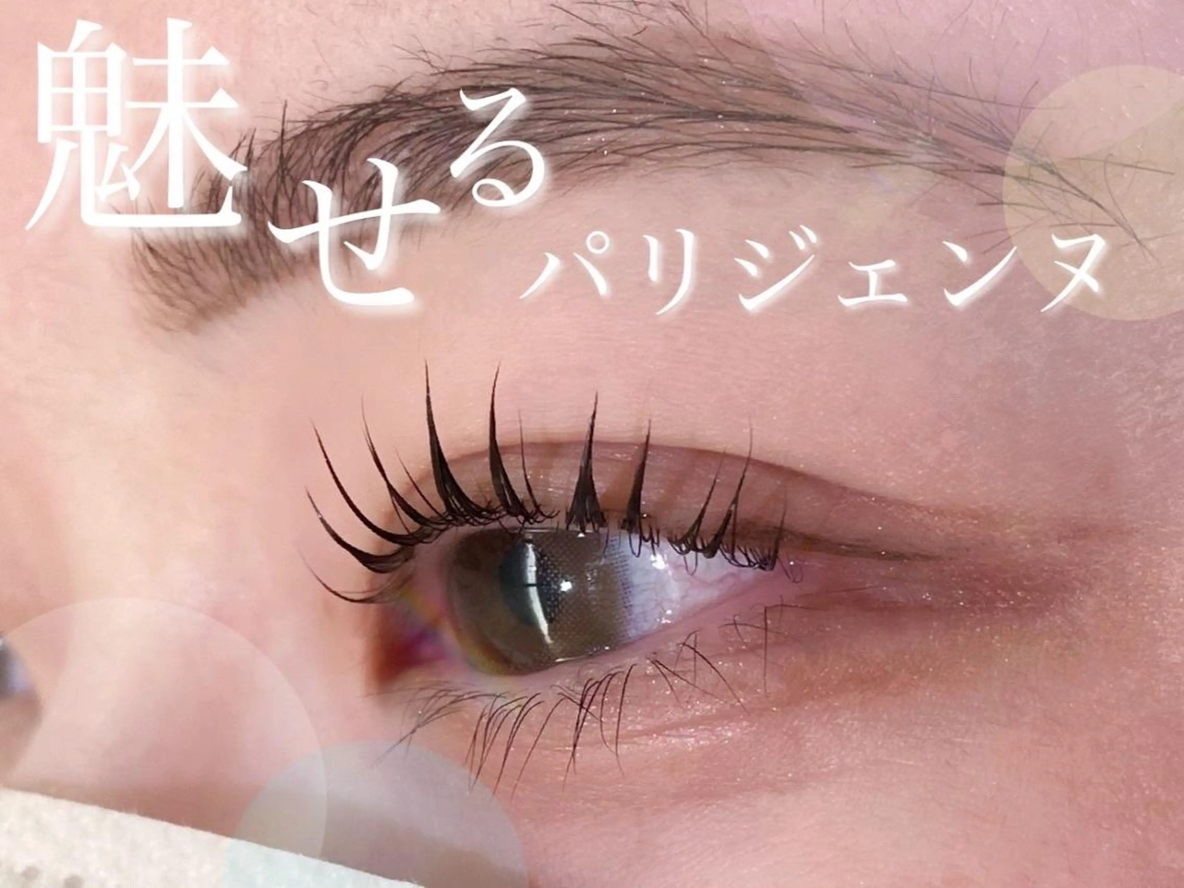 マツエク・マツパ バインドロック 束感まつ毛 フラットラッシュ 韓国風マツエク パリジェンヌラッシュリフト loa 幸町店のマツエク・マツパデザイン