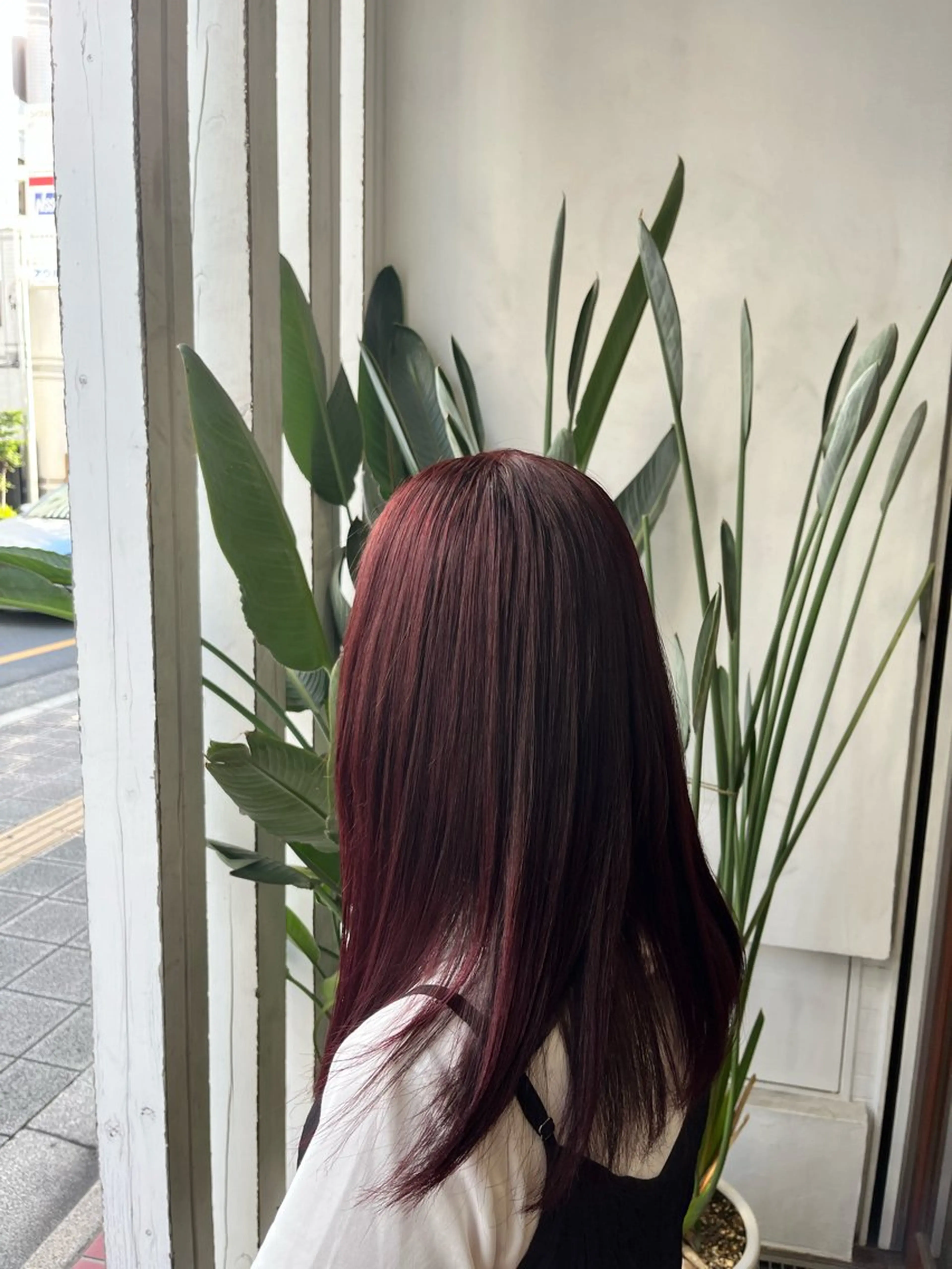 セミロング カラー インナーカラー カット ヘアカラー トリートメント 🫧艶髪デザイナー 🫧白石航汰のヘアスタイル