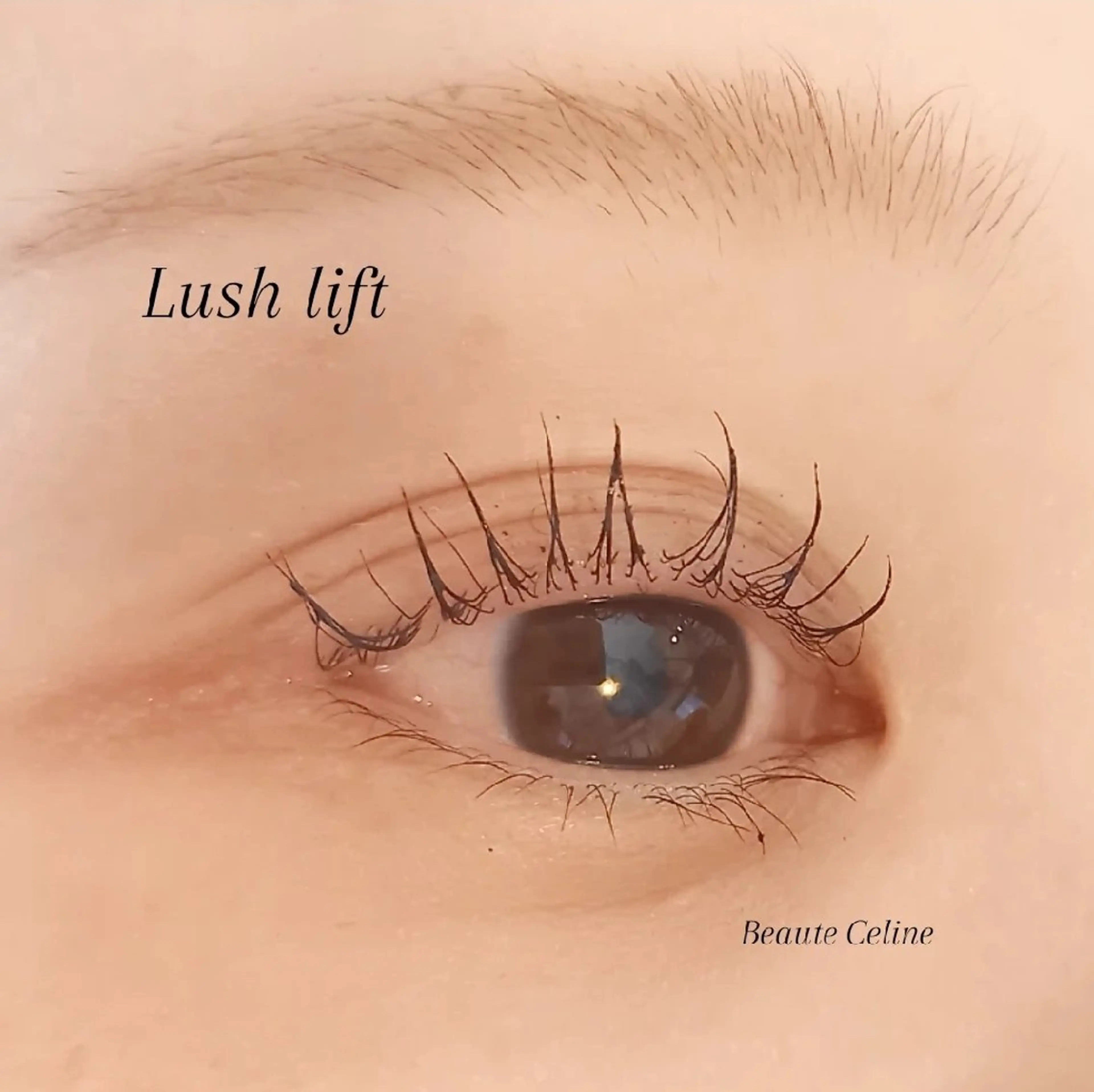 マツエク・マツパ マツパ beaute.celine所属・束感🌛beaute  celineのマツエク・マツパデザイン