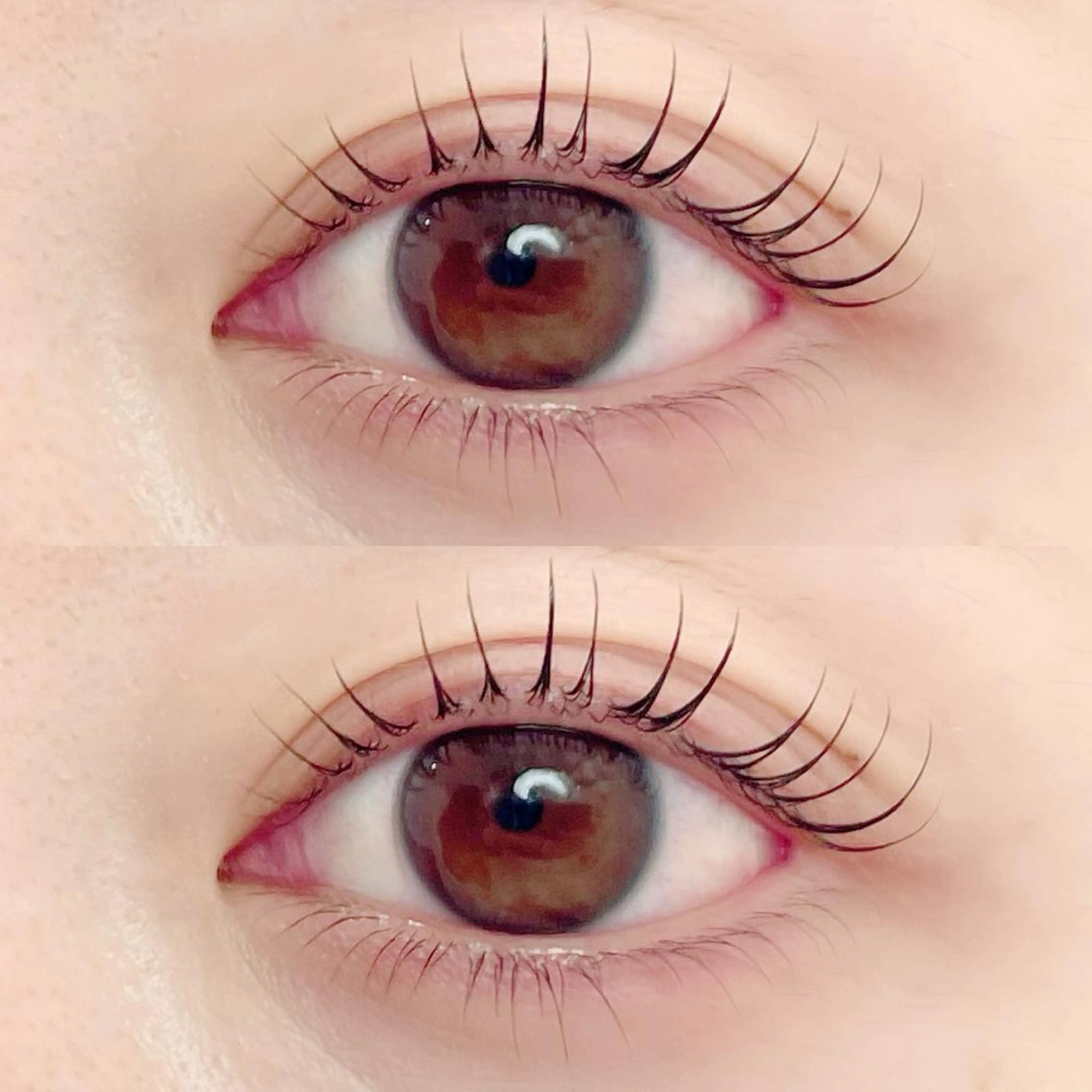 マツエク・マツパ Lash&Brow Mignonのマツエク・マツパデザイン