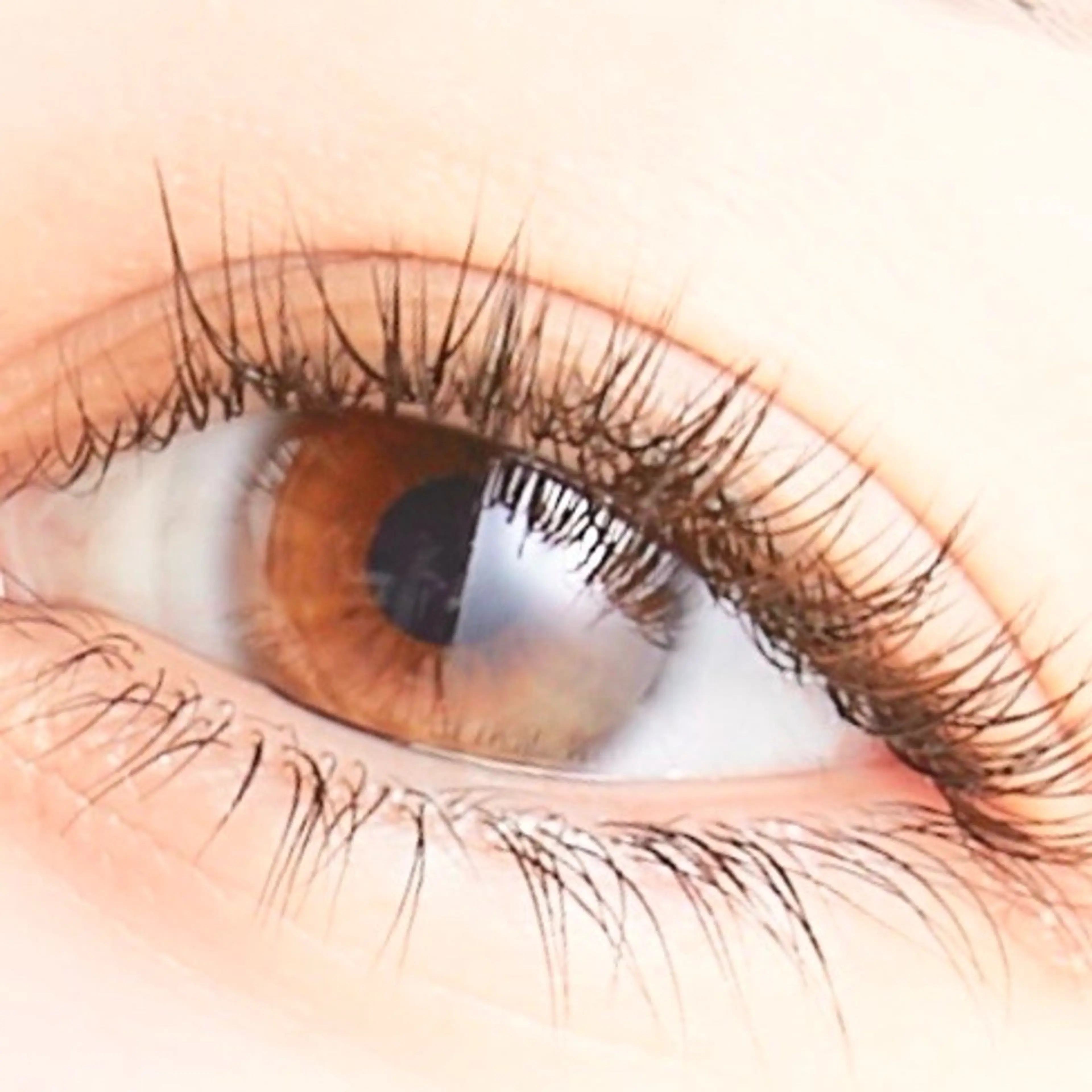 先着10名様限定❣️【オフなし】下まつ毛エクステ30​〜​40本🤍今だけ¥1500✨の写真