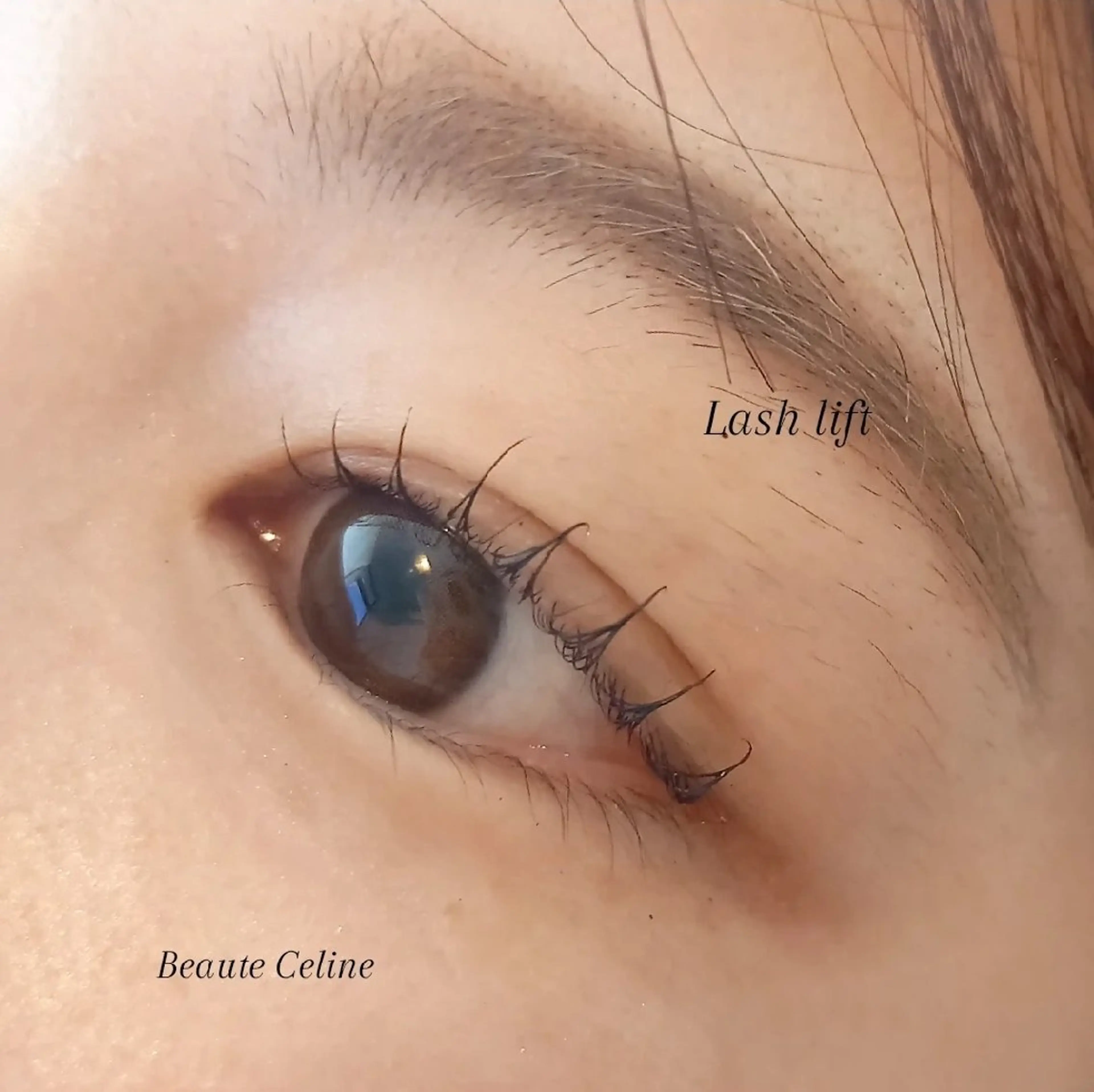 マツエク・マツパ マツパ beaute.celine所属・&healthy💜 ﾎﾞｰﾃCelineのマツエク・マツパデザイン