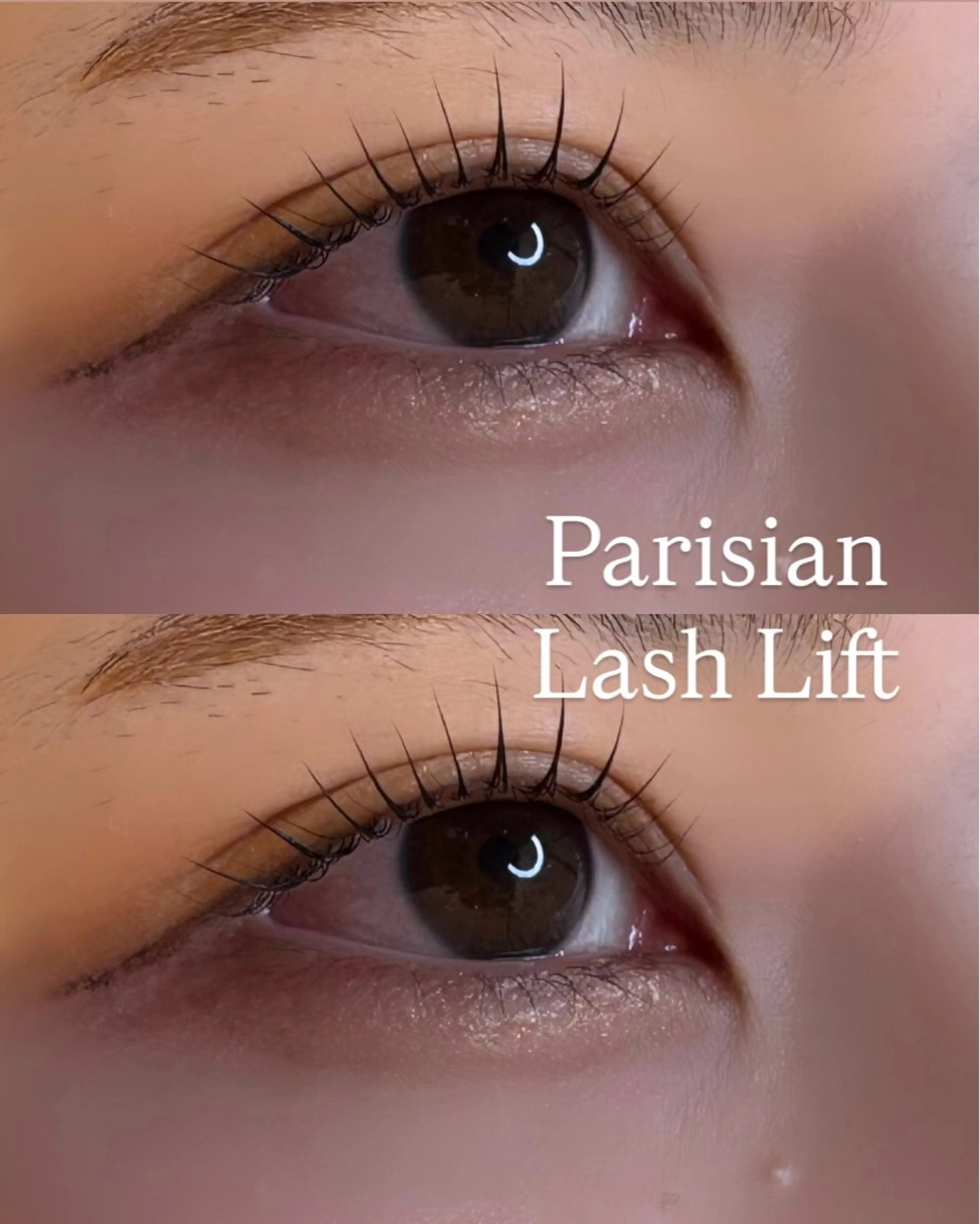 マツエク・マツパ マツパ mila天神 今泉💎serikaのマツエク・マツパデザイン