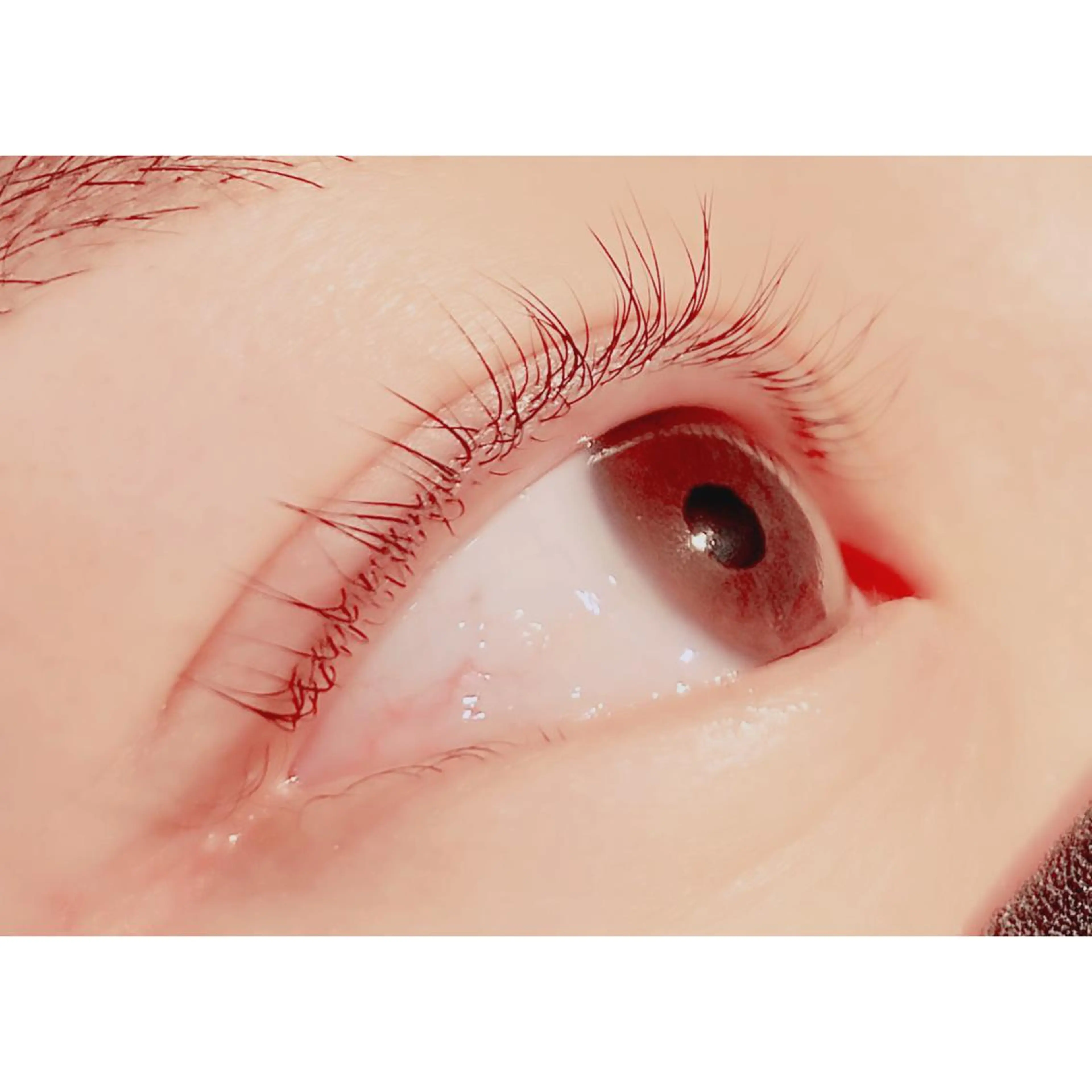 マツエク・マツパ パリジェンヌラッシュリフト Bianca 長津田店 長牛のマツエク・マツパデザイン