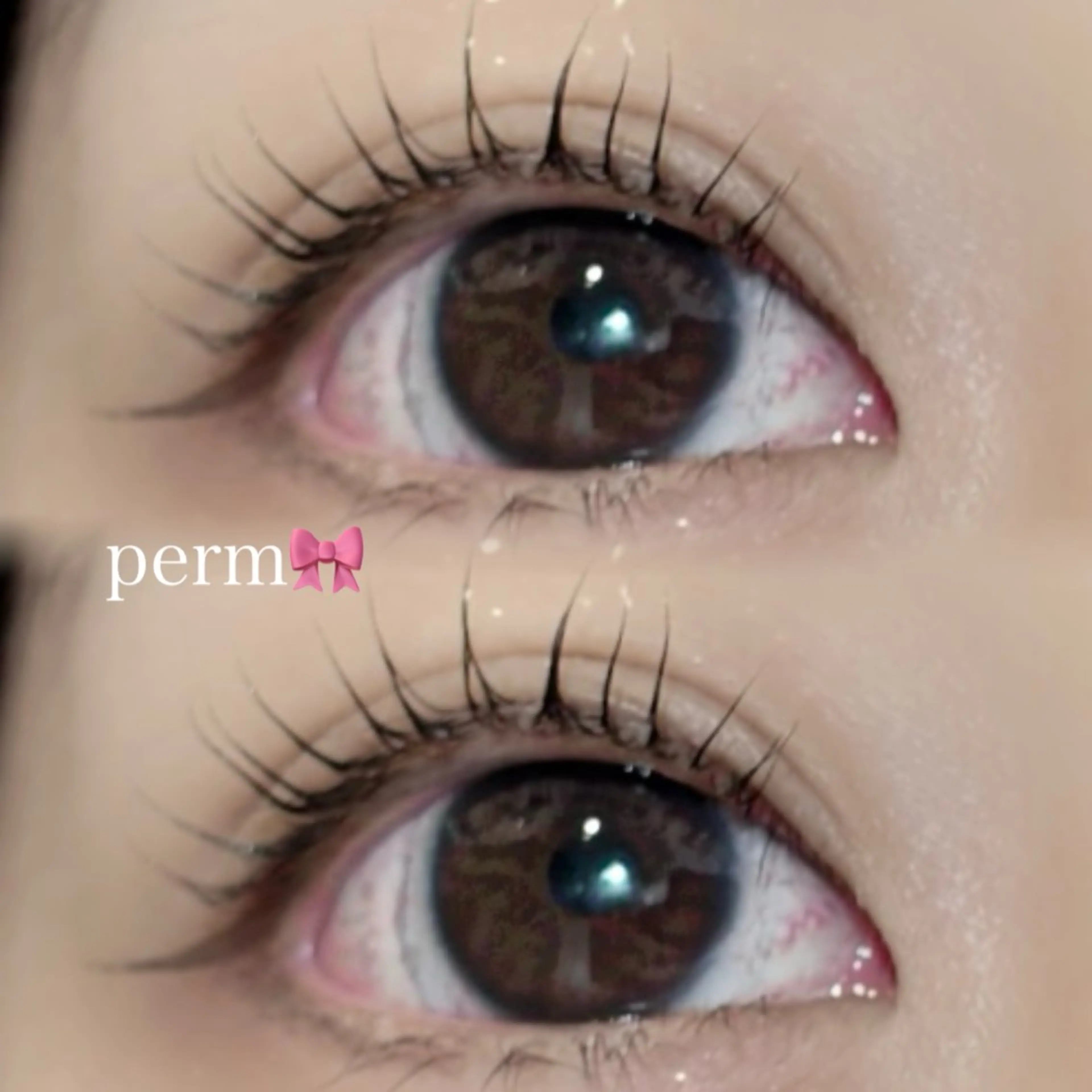 💗人気No.1☝🏻💗まつげパーマ🎀➕美容液コーティング🫧の写真
