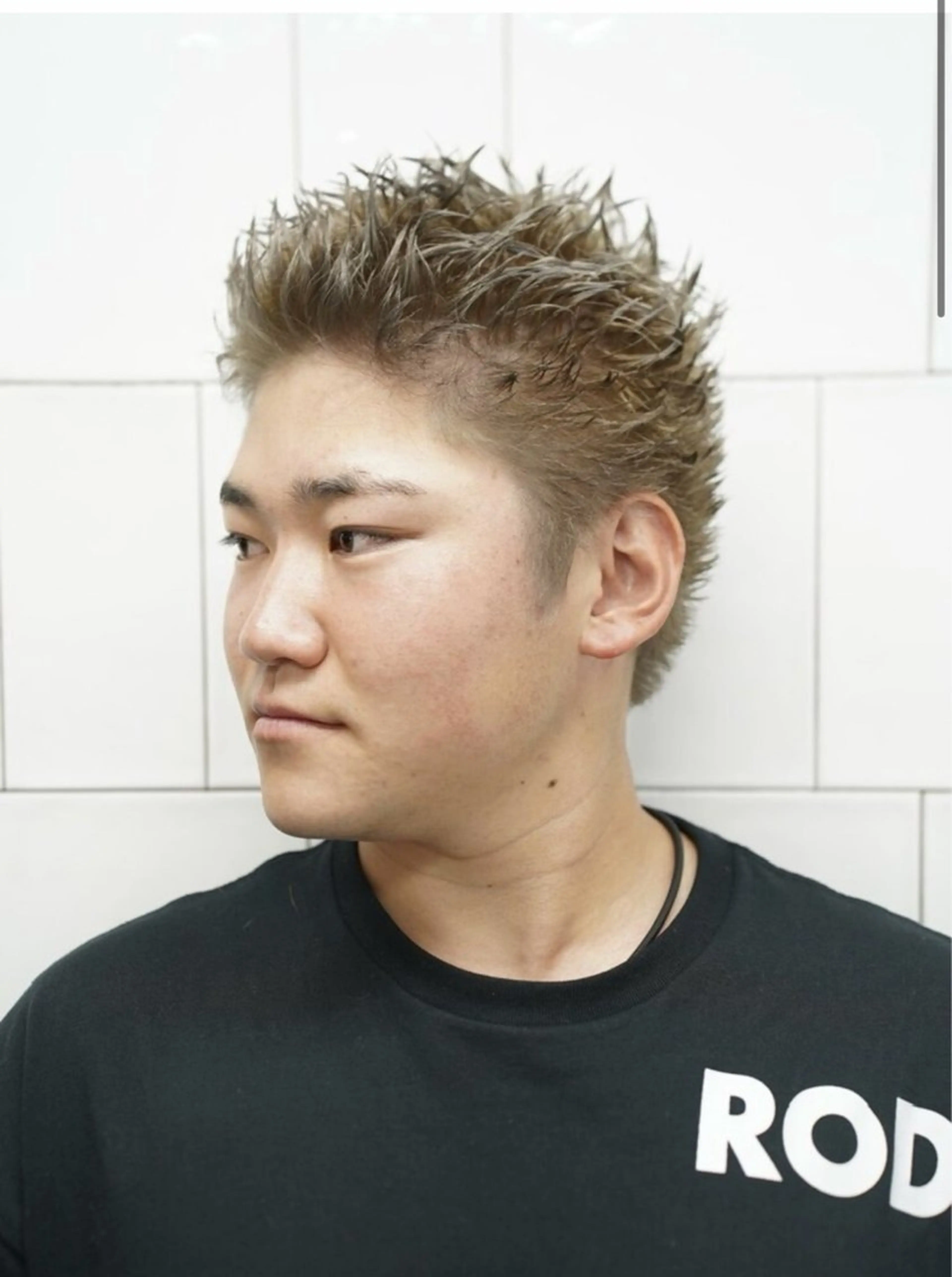 ダブルカラーモデルの写真