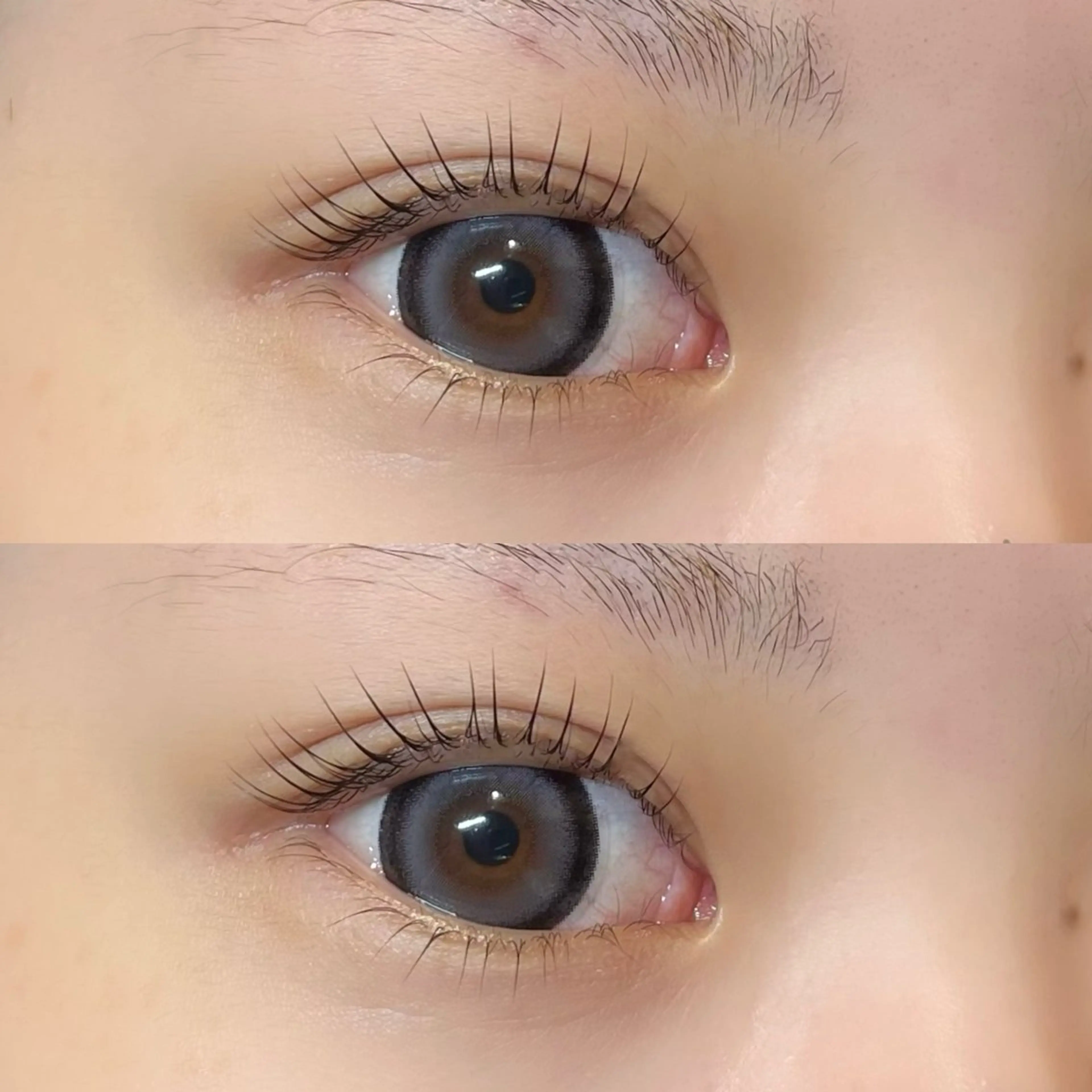 ใใใจใฏใปใใใ ๐๐๐๐๐ ๆ่ฑใฎใใใจใฏใปใใใใใถใคใณ