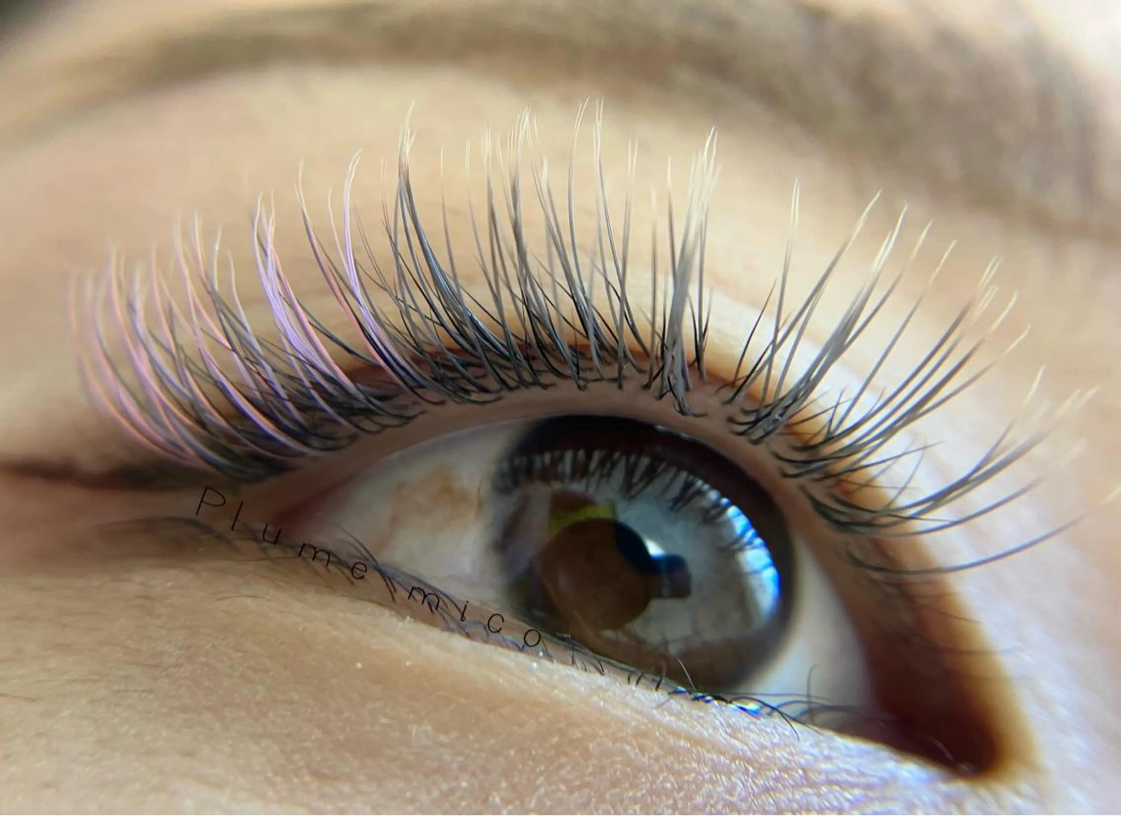 マツエク・マツパ カラーマツエク マツエク Plume micoのマツエク・マツパデザイン