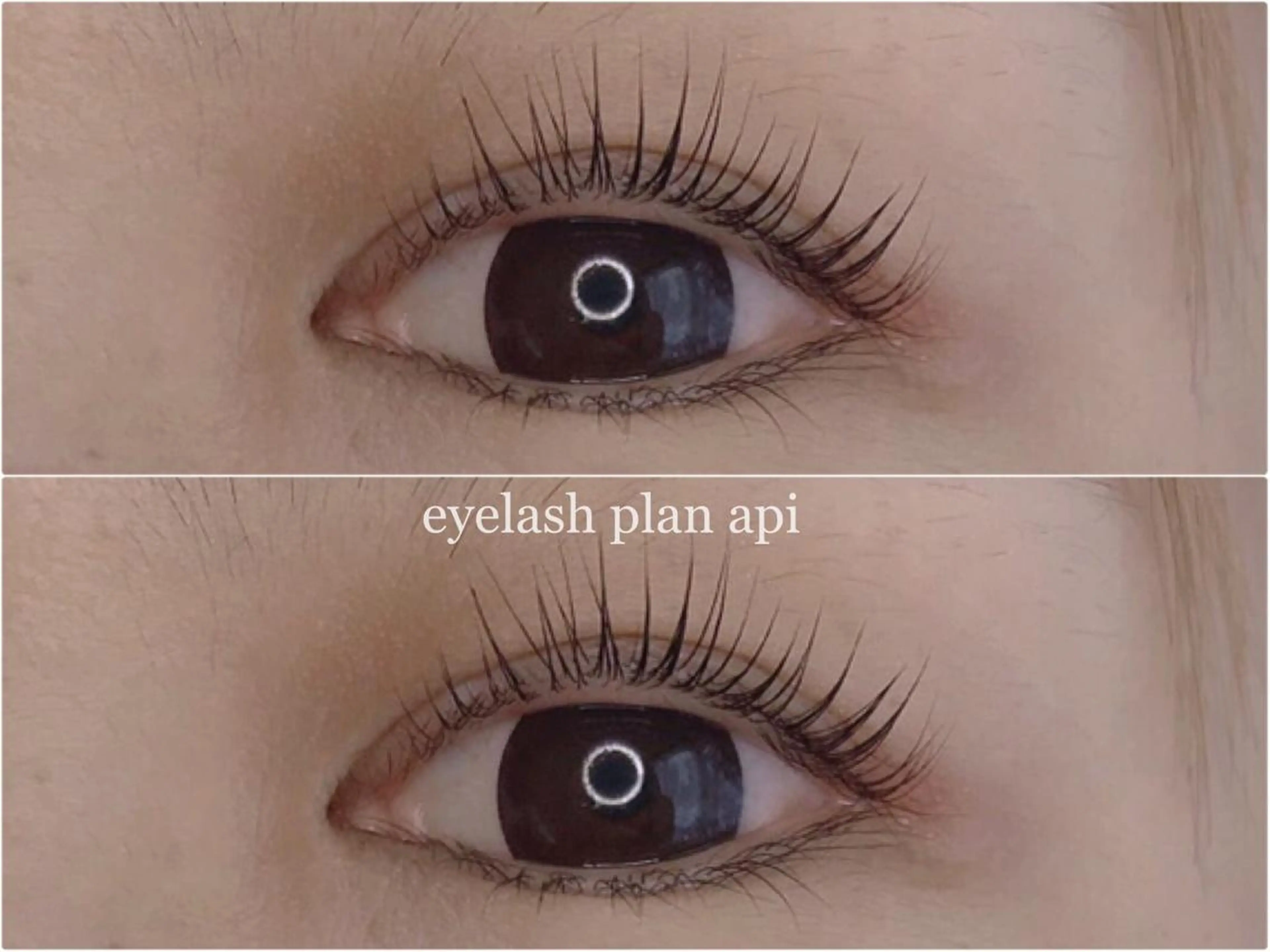 マツエク・マツパ マツパ 《eyelash ｉｉｔｅ》森のマツエク・マツパデザイン