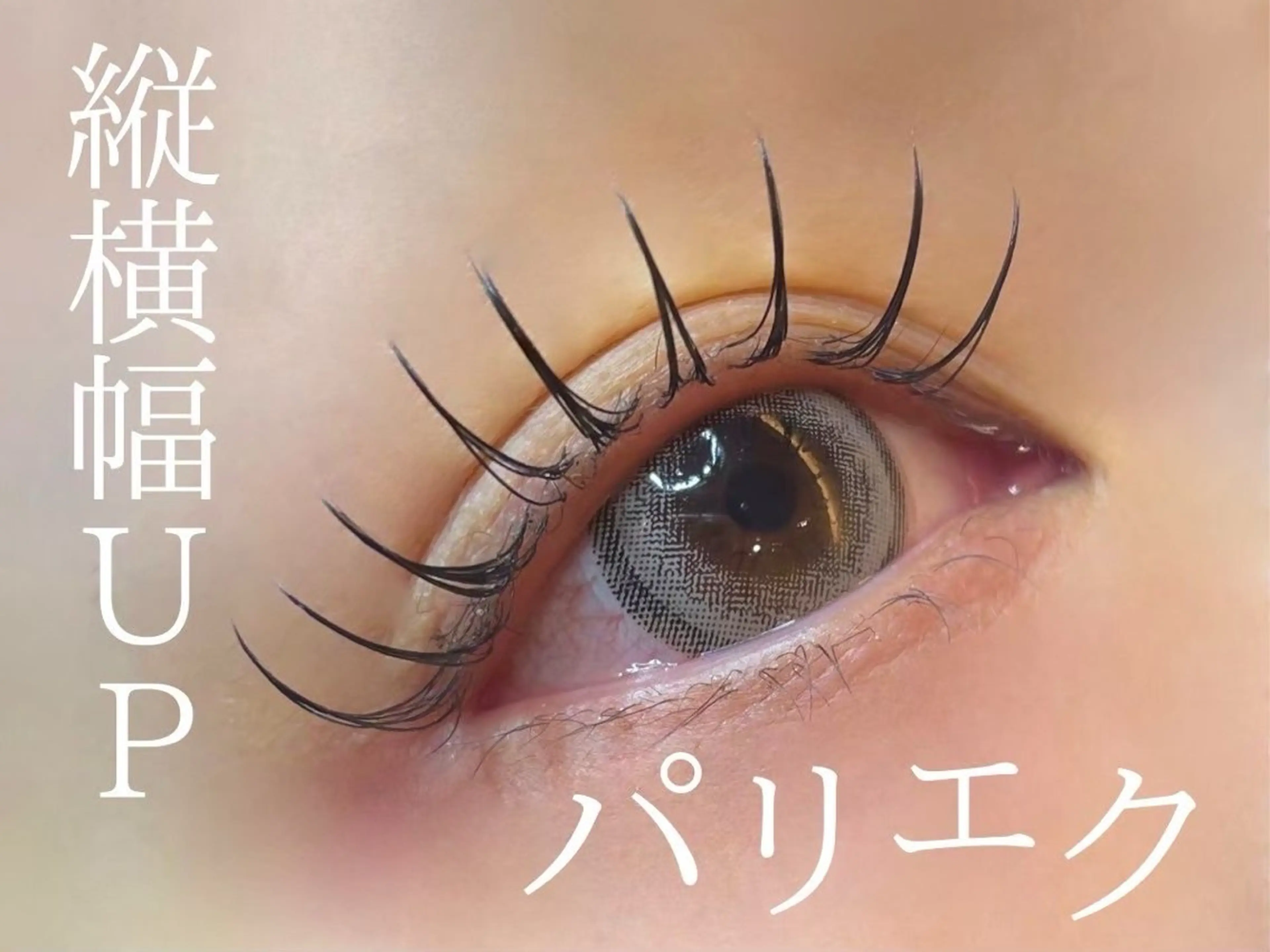 マツエク・マツパ eve🐰束間まつ毛 /透明感カラーのマツエク・マツパデザイン