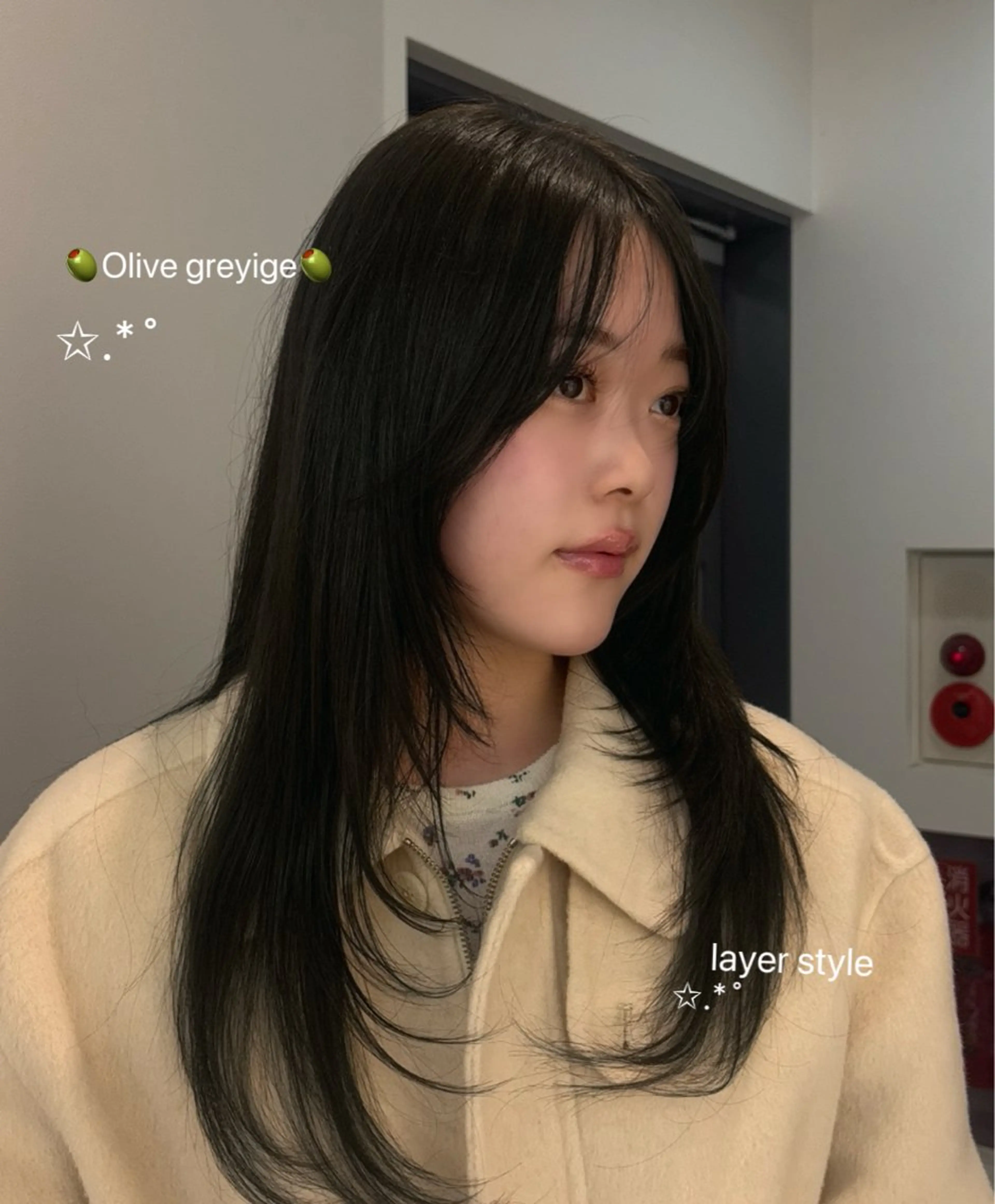 セミロング ヘアカラー トリートメント 艶髪໒꒱/透明感 カラー🍀_そら🪽のヘアスタイル