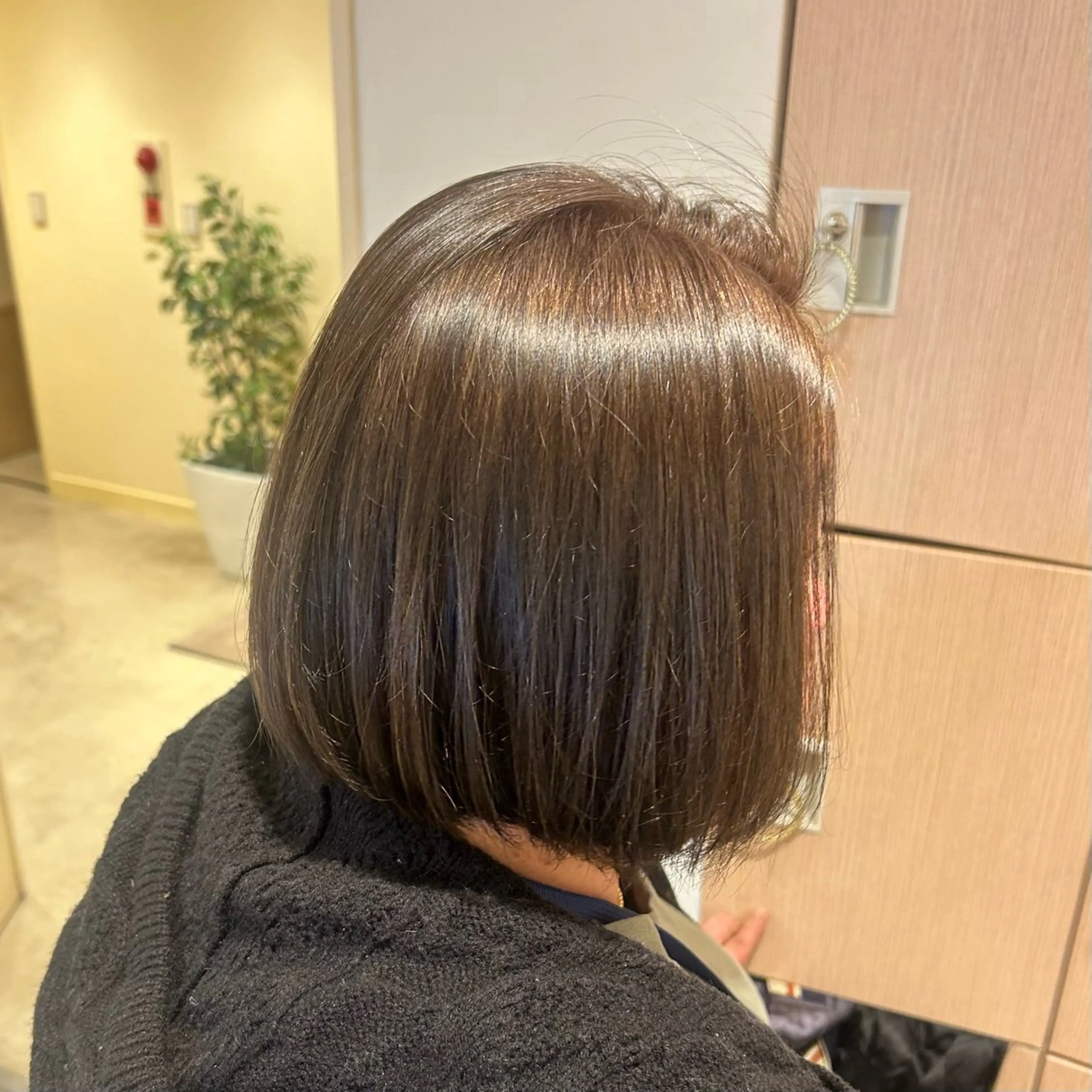 ショート カラー カット ヘアカラー 🫧透明感明るめカラ ー🫧大西あずきのヘアスタイル