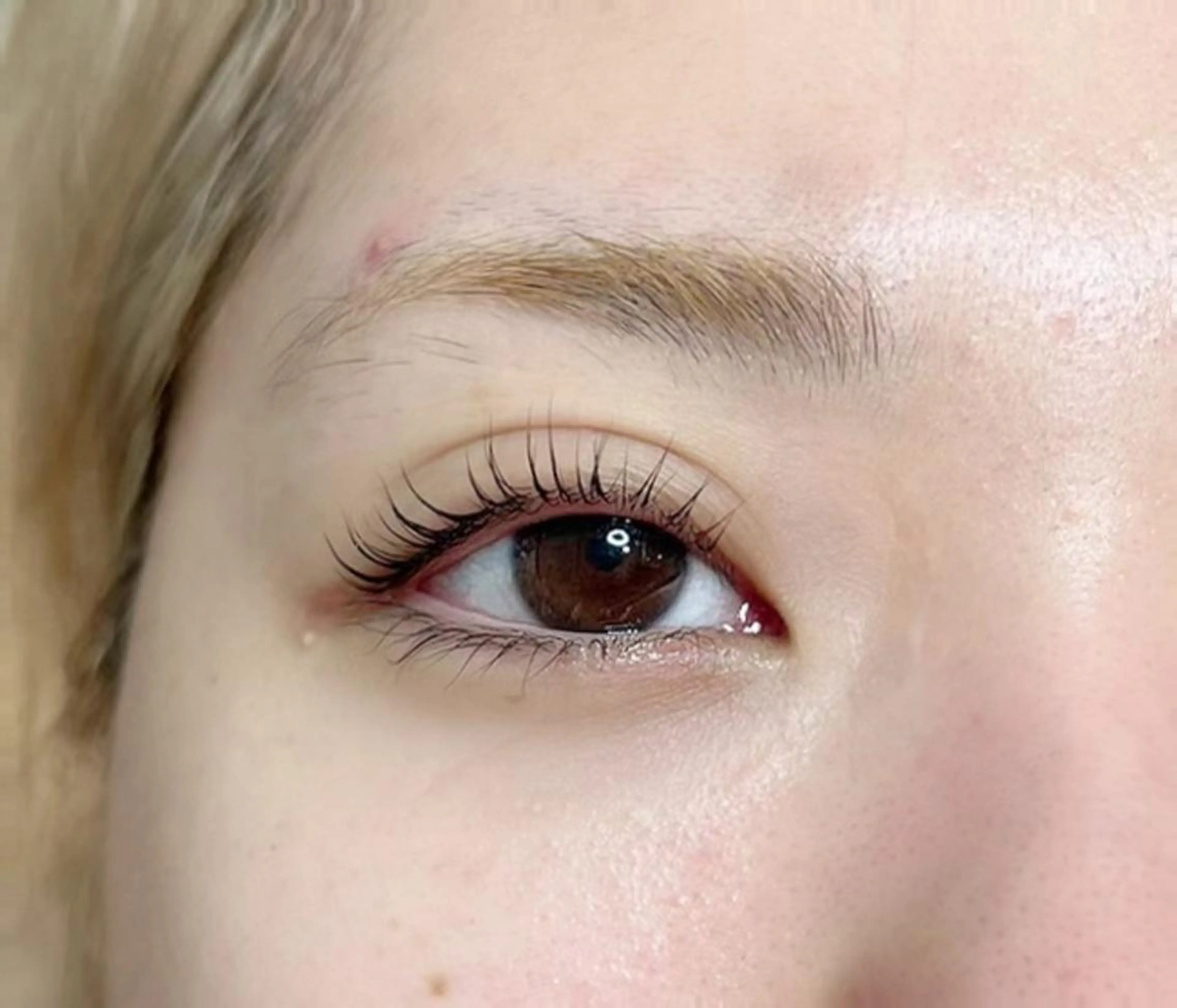 マツエク・マツパ DOT1101 asami🌼のマツエク・マツパデザイン