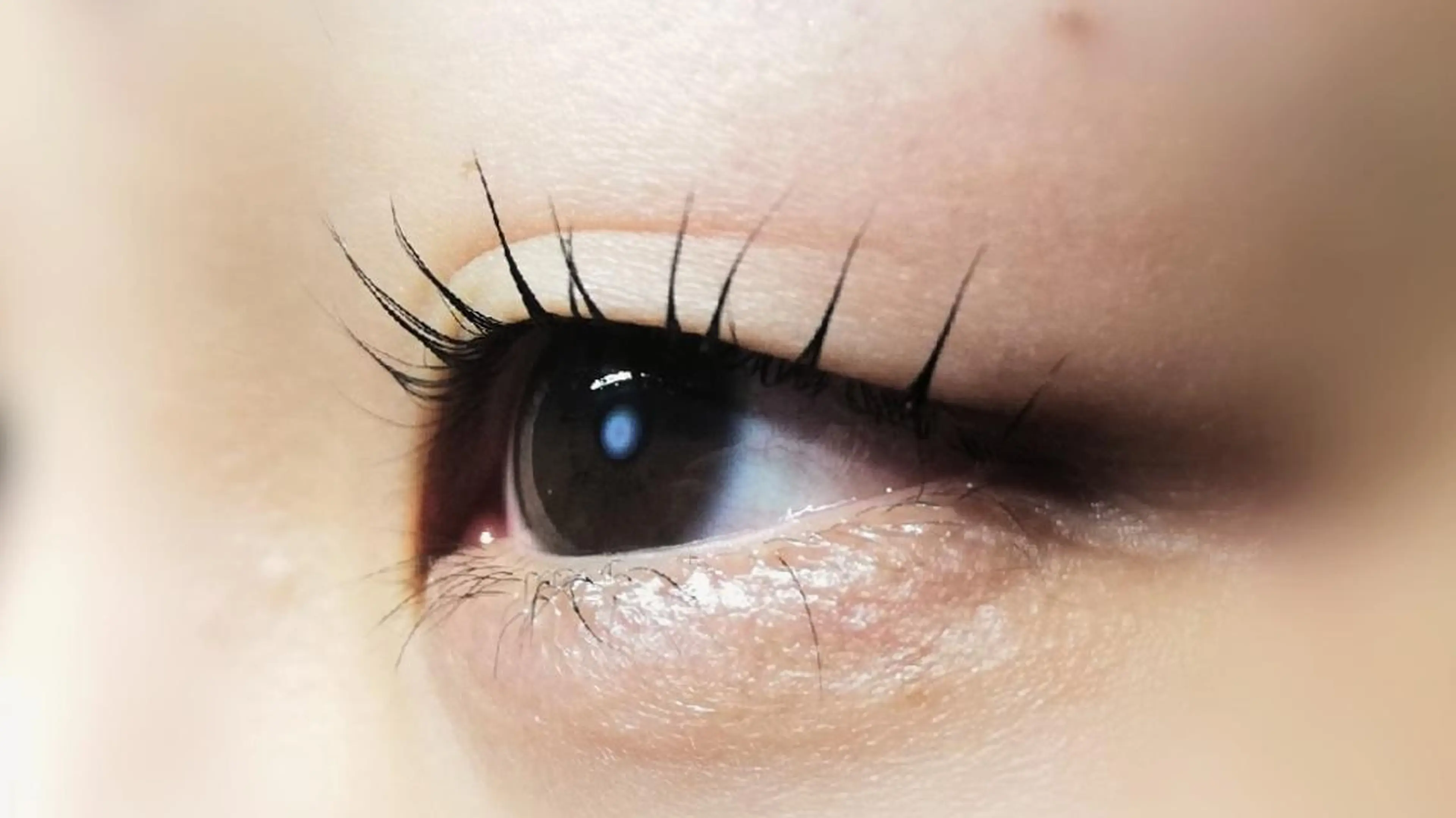 マツエク・マツパ マツパ angelux 所属・完全個室サロン🌹 angelux🌹のマツエク・マツパデザイン