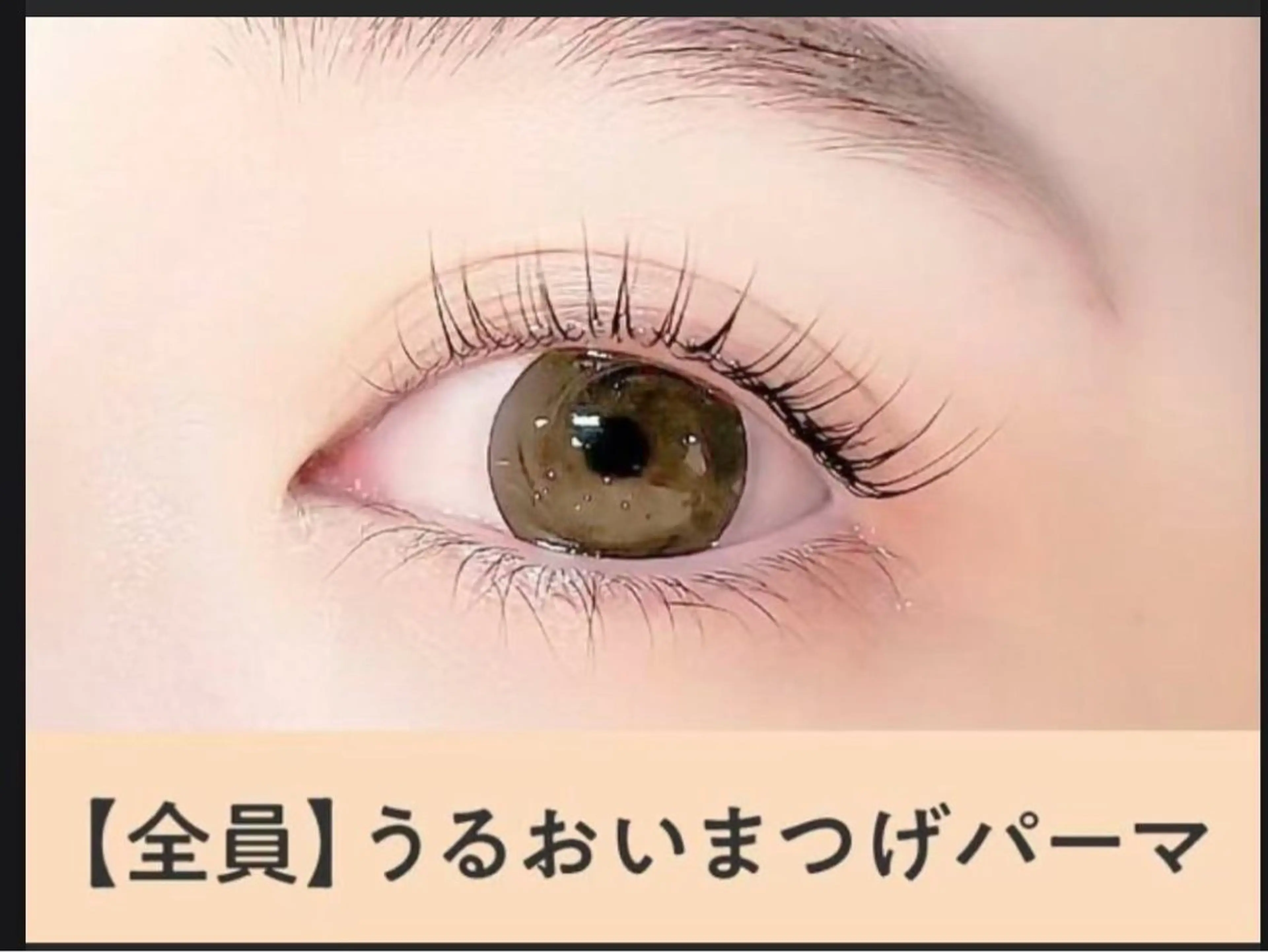 新人練習★潤いまつげパーマ+ブラックコーティング Tr¥4500⇒¥2500  （禁止ロコミ）の写真